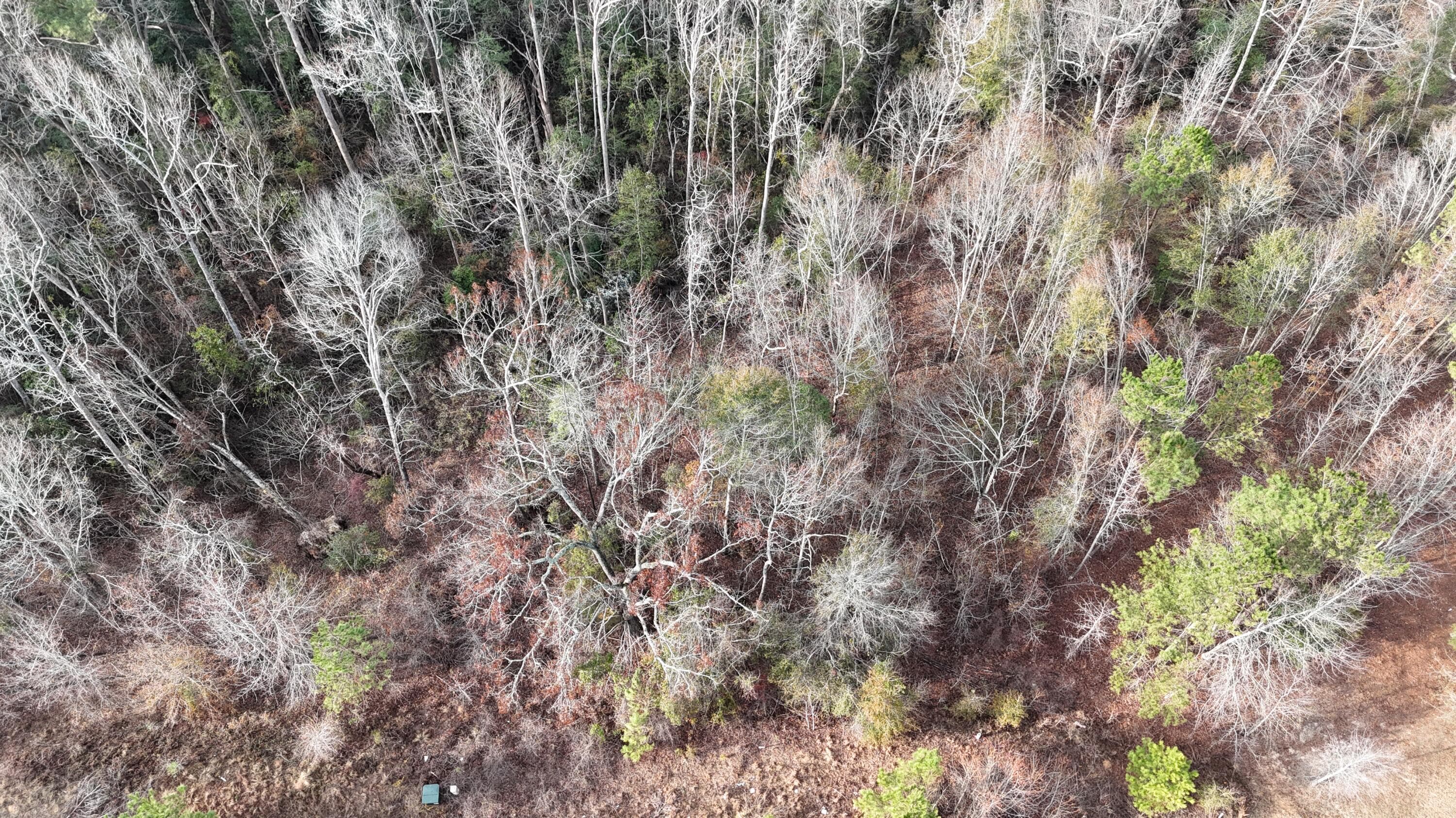 Residential Lot at 2664 New Hope Circle, Hephzibah, GA 30815, photo 4 of 8