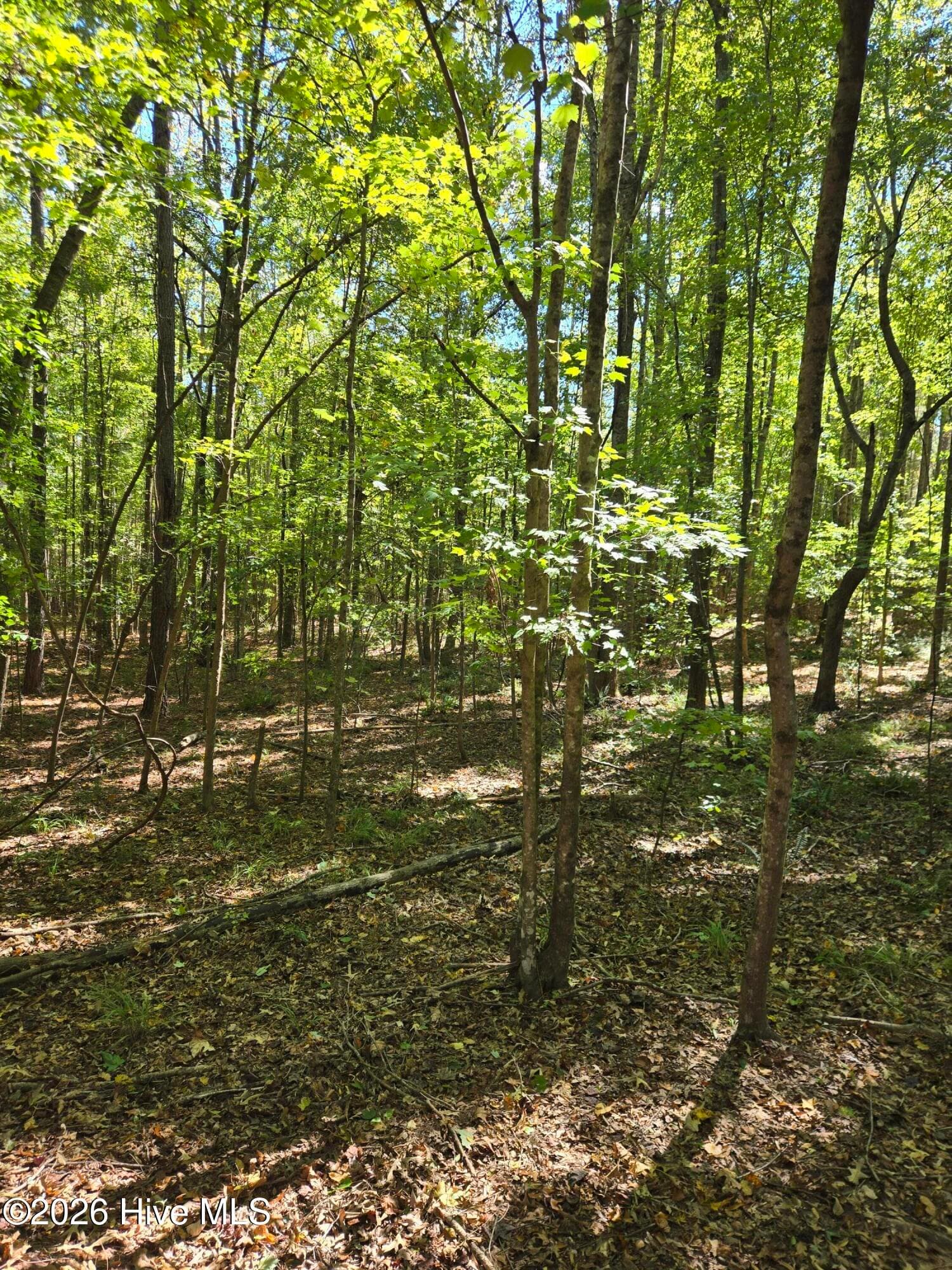 Residential Lot at 2776 Crook Road, Lincolnton, GA 30817, photo 22 of 23