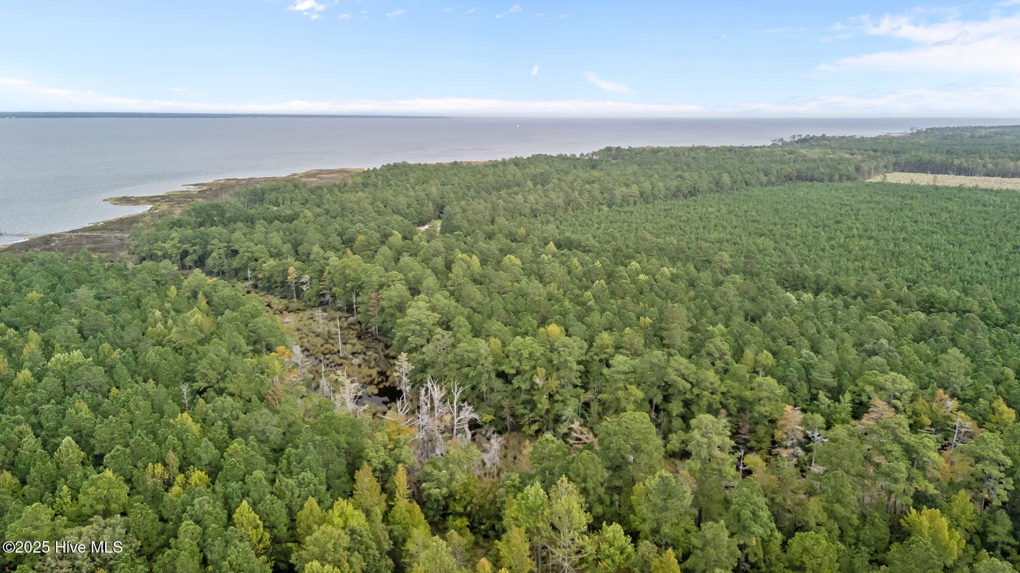 Residential Lot at 207 Garbacon Drive, Beaufort, NC 28516, photo 8 of 17
