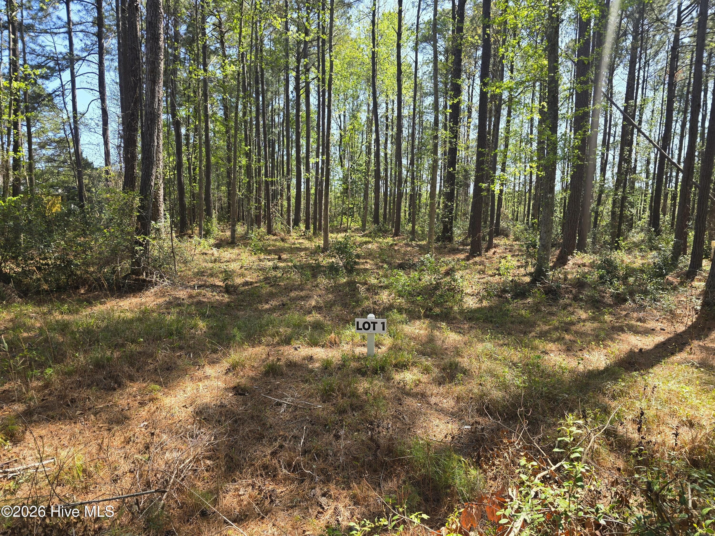 Residential Lot at Lot 1 1 Renee Drive, Hampstead, NC 28443, photo 2 of 6