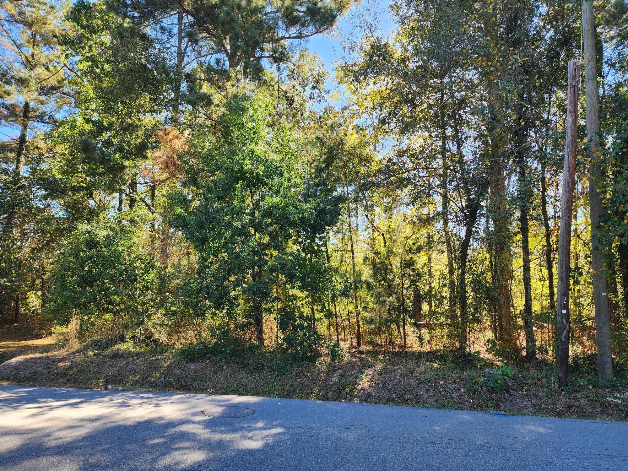 Residential Lot at 0 Howard Street, Wrens, GA 30833, photo 5 of 6