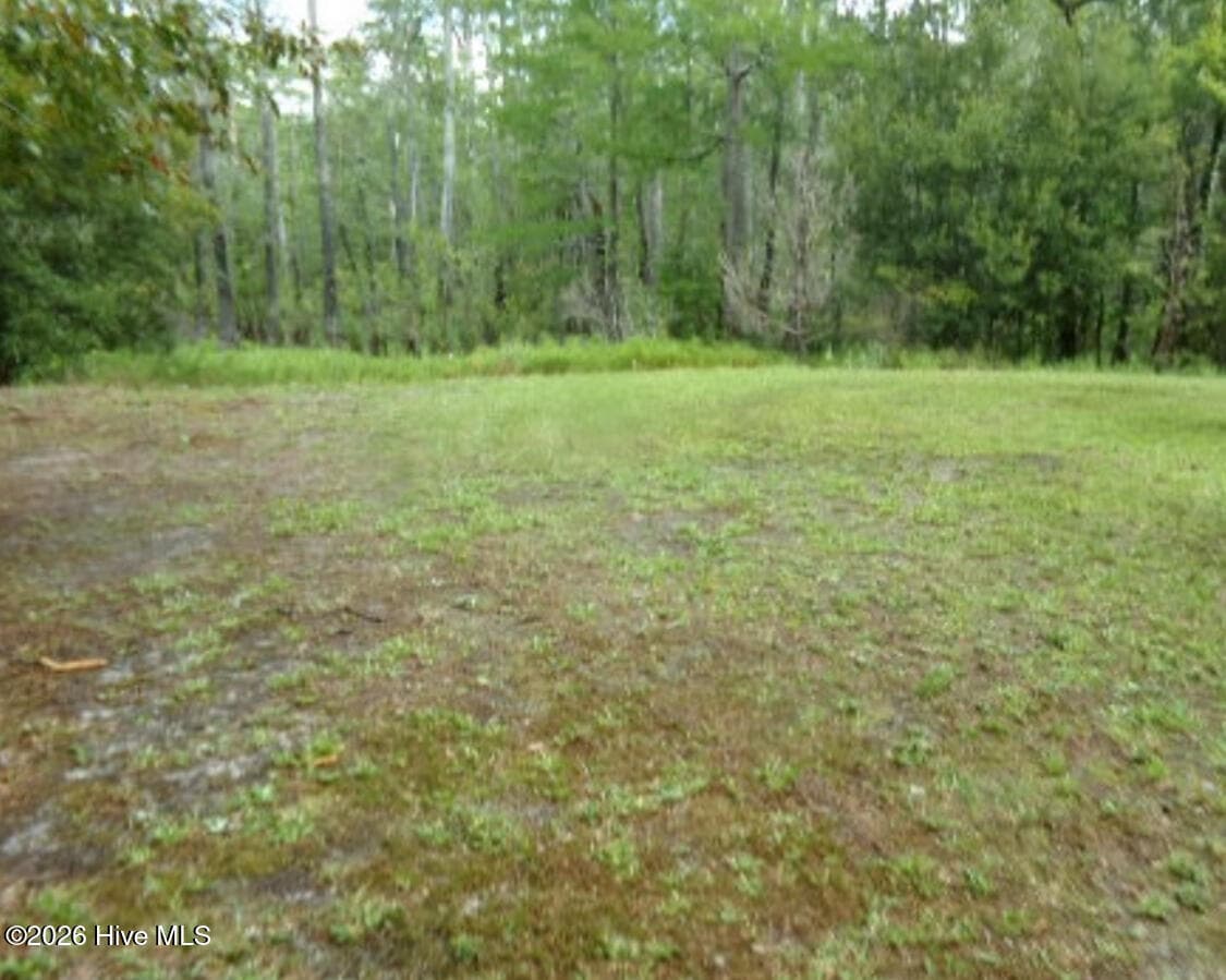 Single Family Residence at 940 Lacers Way, Currie, NC 28435, photo 7 of 30