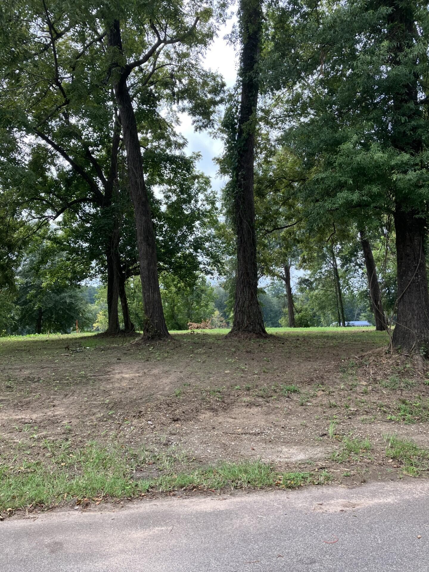 Residential Lot at 165 River Bend Drive, Clarks Hill, SC 29821, photo 2 of 12