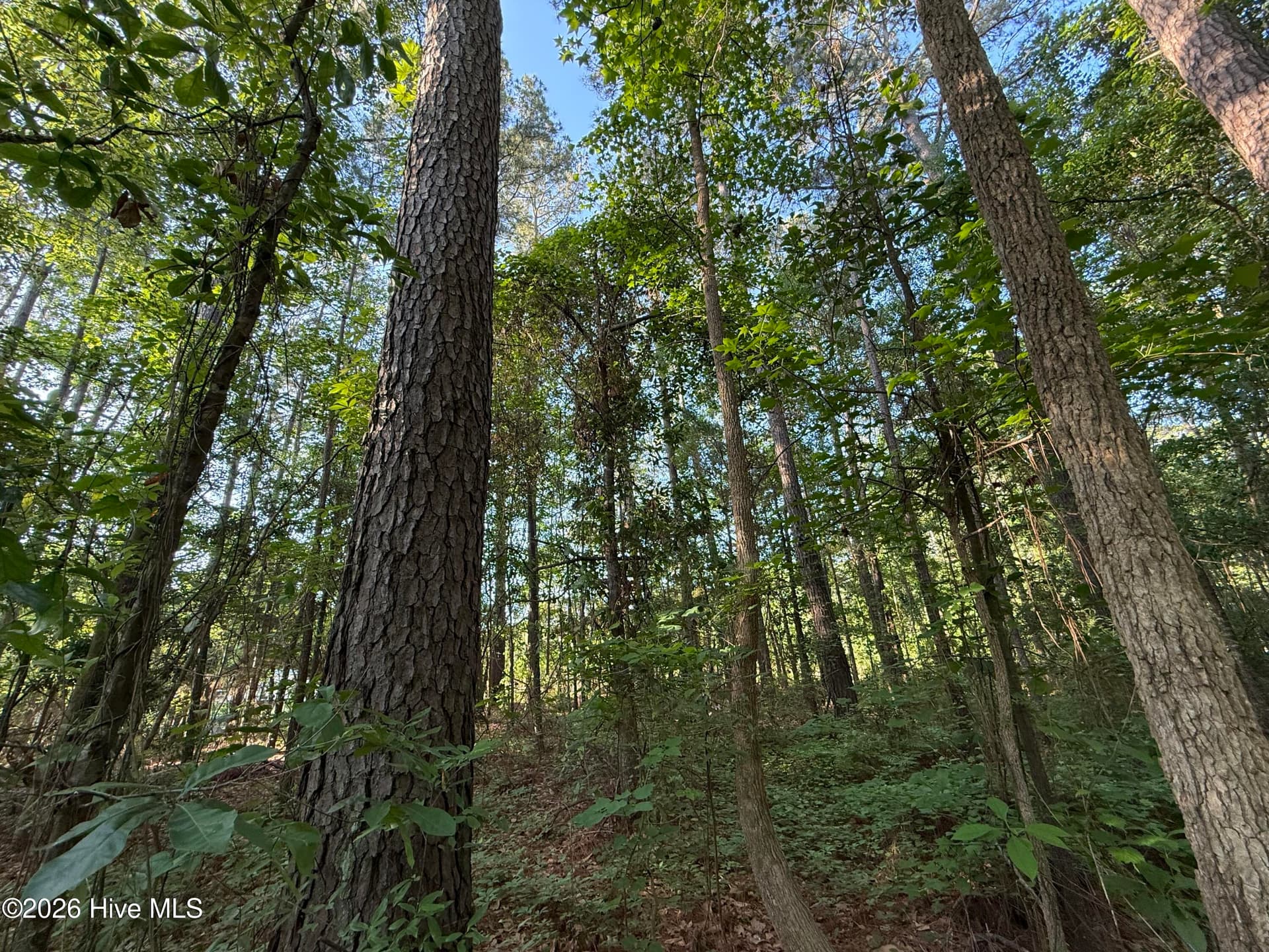 Residential Lot at 470 Acres Lane NW, Calabash, NC 28467, photo 12 of 19