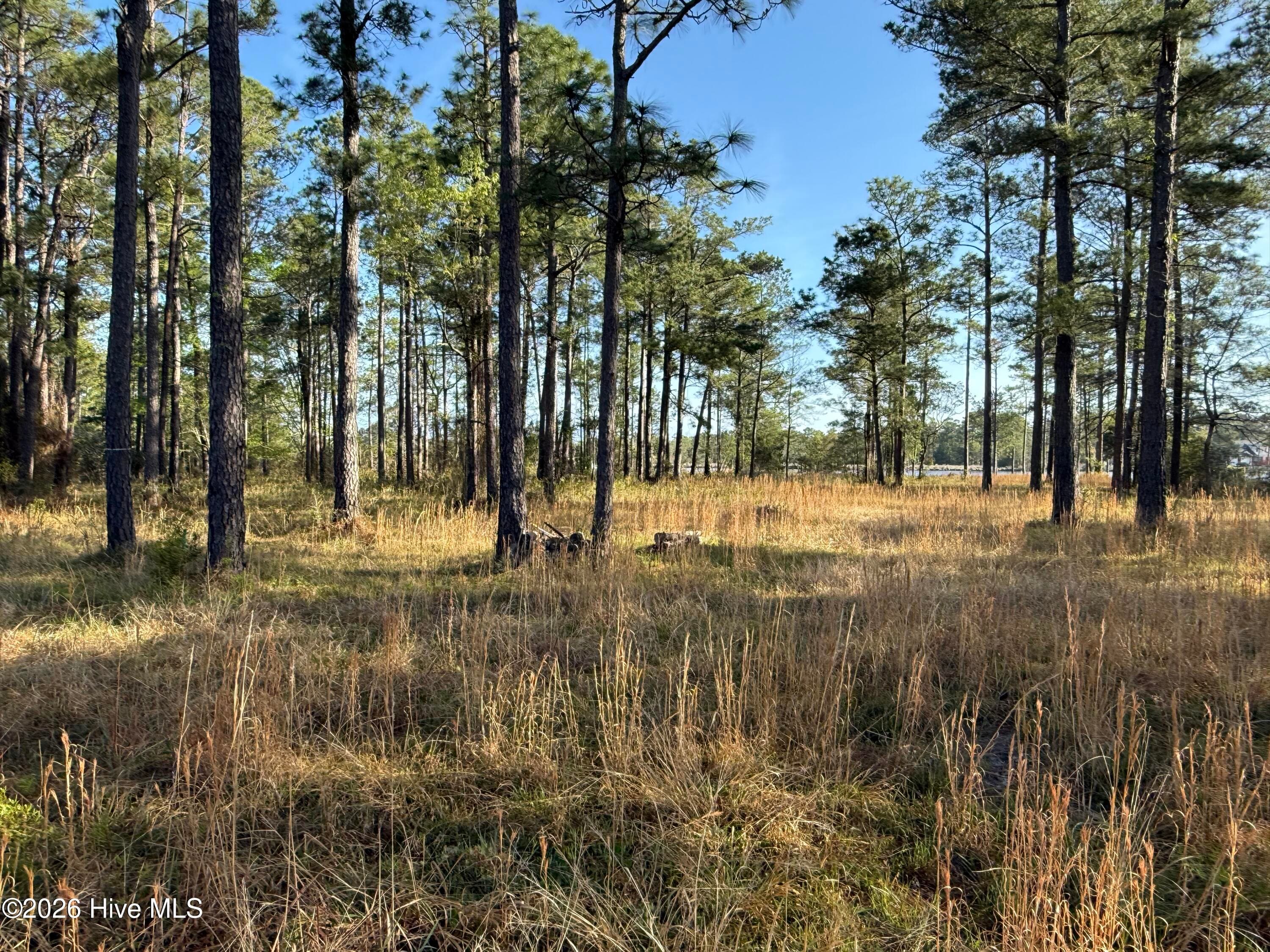 Residential Lot at 269 23 Shell Castle Lane, Vandemere, NC 28587, photo 23 of 43