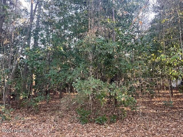 Wooded at 408 Lot 4, Block F, Lake Pines Drive, La Grange, NC 28551, photo 9 of 12