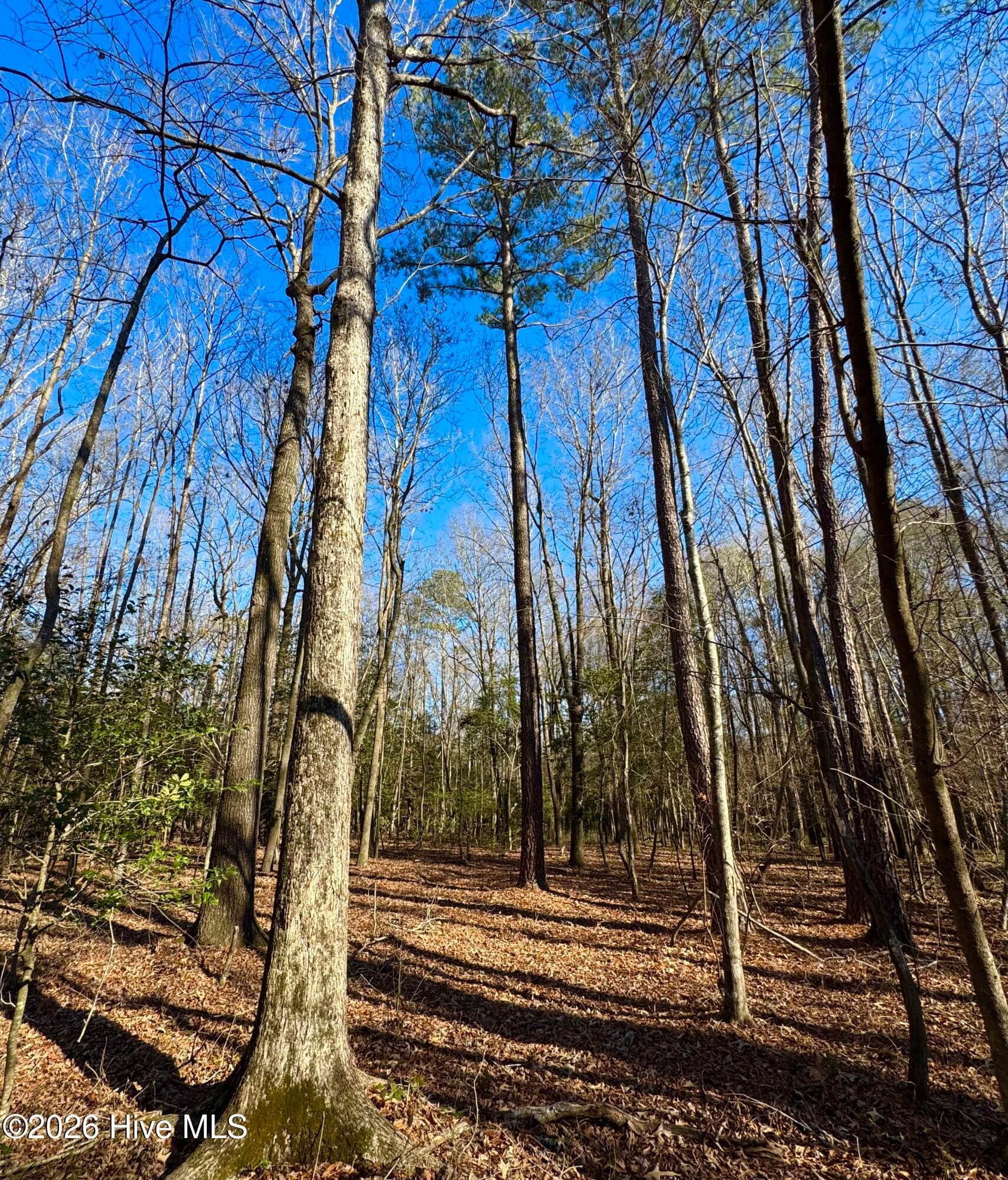 Wooded at 0 Fred Circle S, Kenly, NC 27542, photo 20 of 21