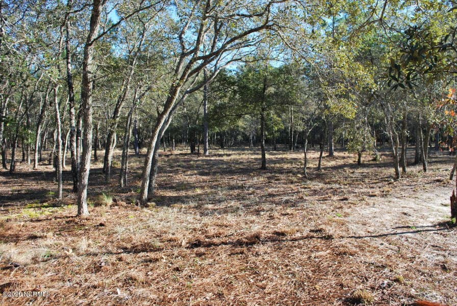 3581 Concordia Avenue SW, Supply, NC 28462