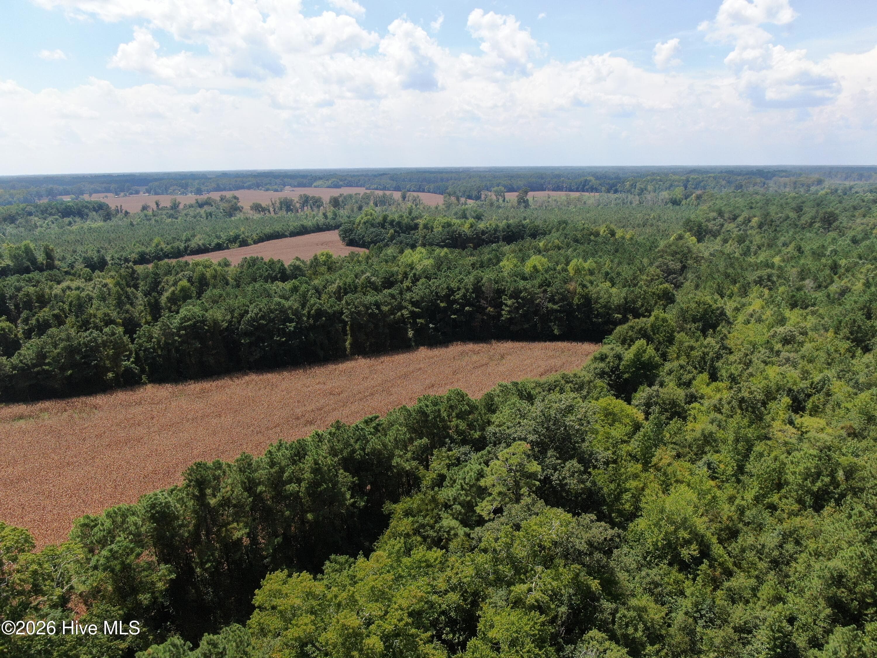 Agriculture at Tbd Pleasant Hope Road, Fairmont, NC 28340, photo 2 of 3