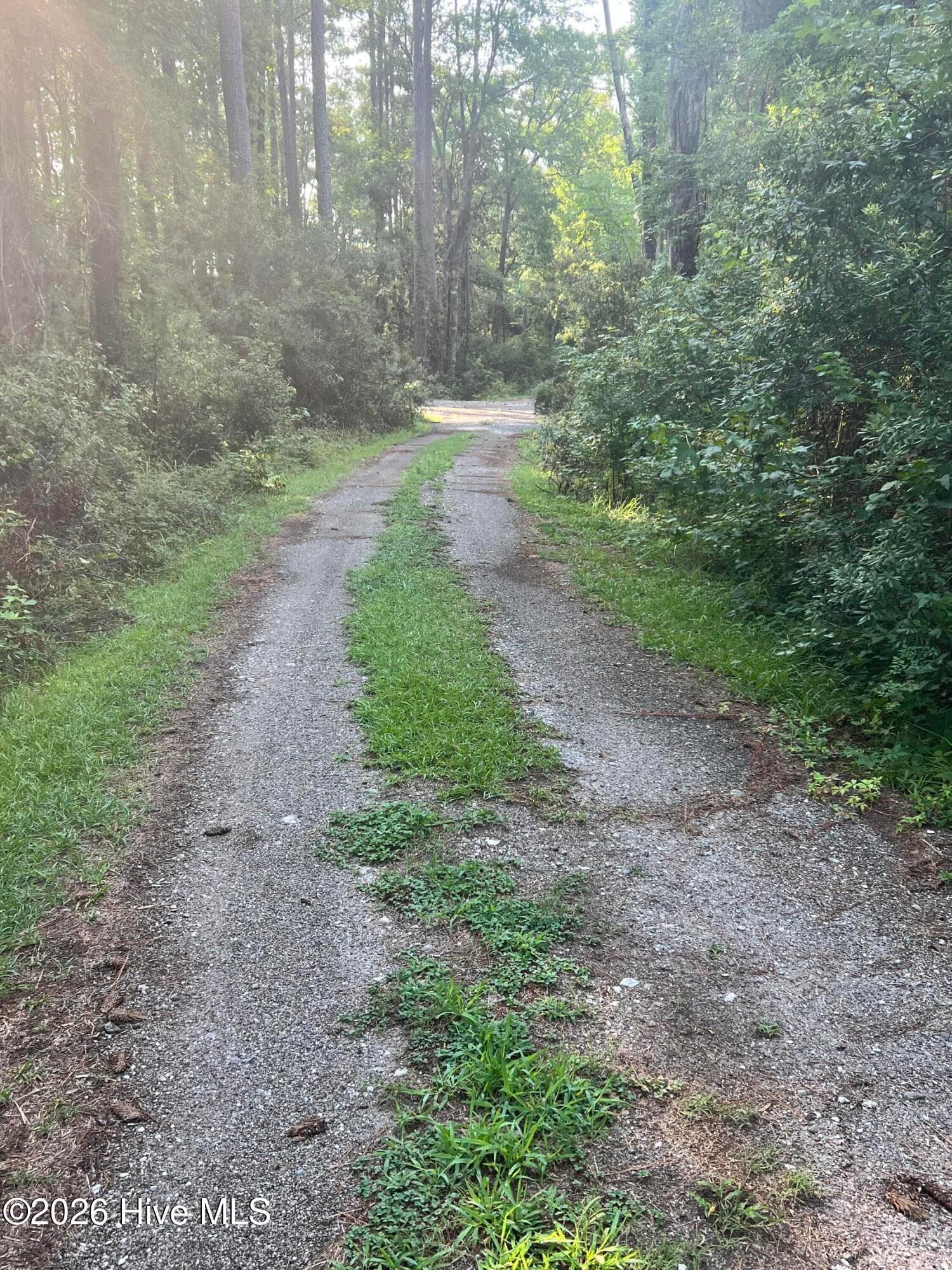 Residential Lot at Lot 2 & 3 Strawhorn Creek Road, Aurora, NC 27806, photo 13 of 18