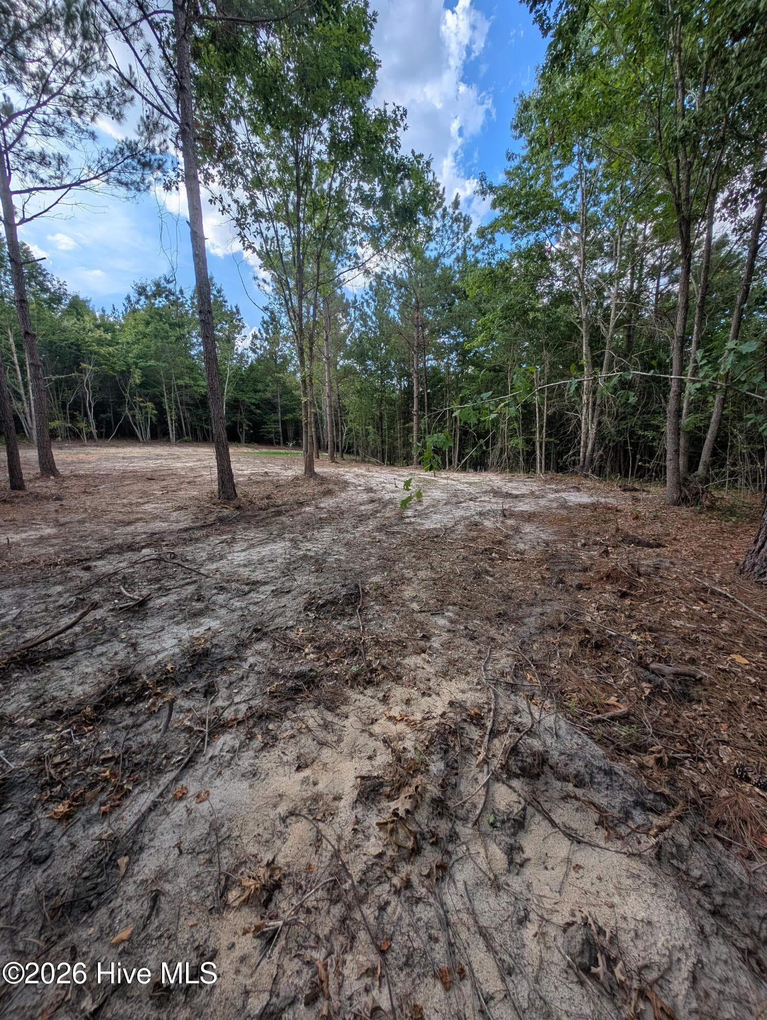 Tbd 2R-3 Peyton Drive, Eagle Springs, NC 27242