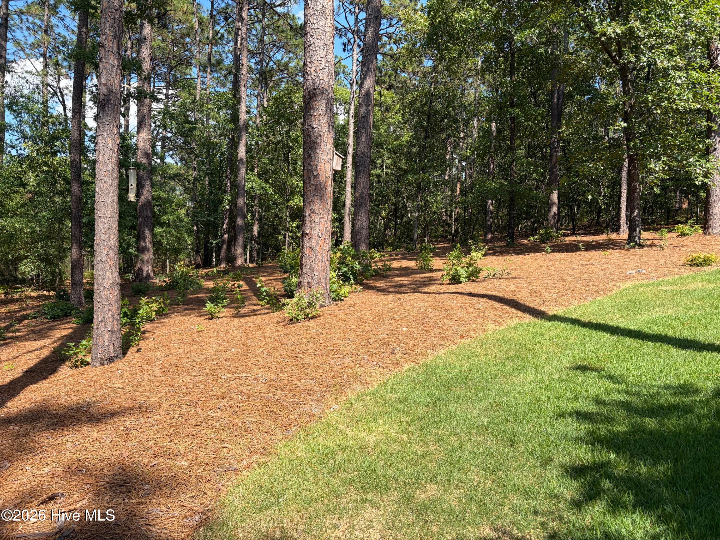 Single Family Residence at 102 Greystones Court, Pinehurst, NC 28374, photo 10 of 65