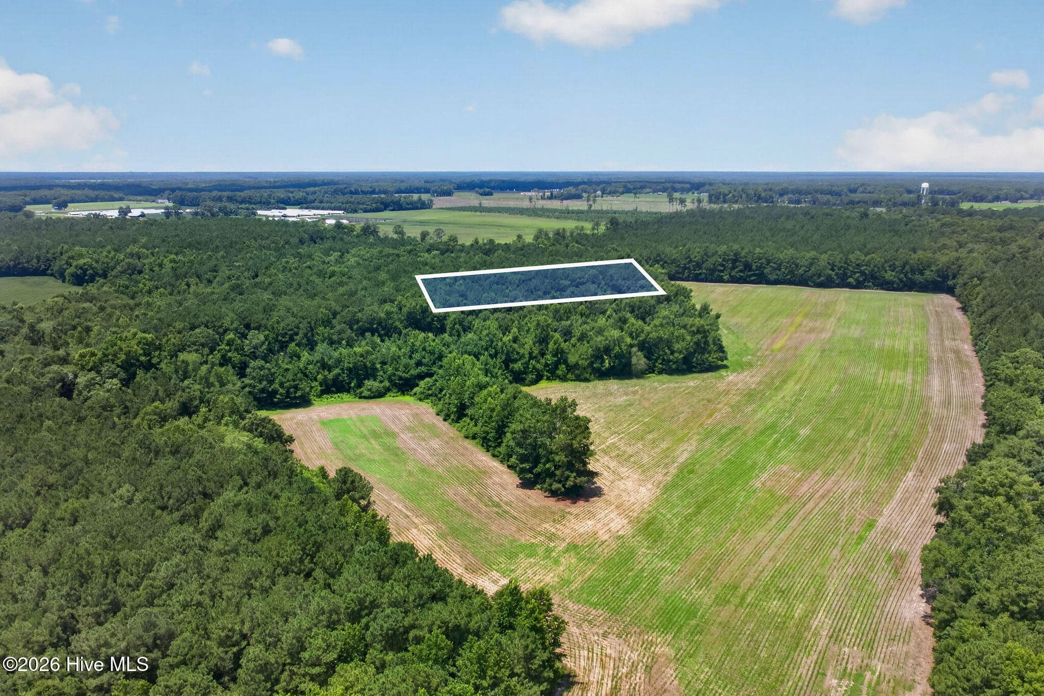 Wooded at 1 Acre Off 2 Laura Hill Drive, Clarkton, NC 28433, photo 2 of 10