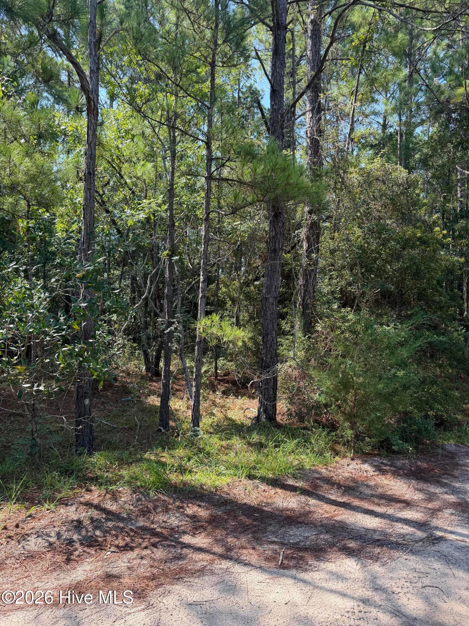 Residential Lot at 2857 190 Robin Drive SW, Shallotte, NC 28470, photo 2 of 10