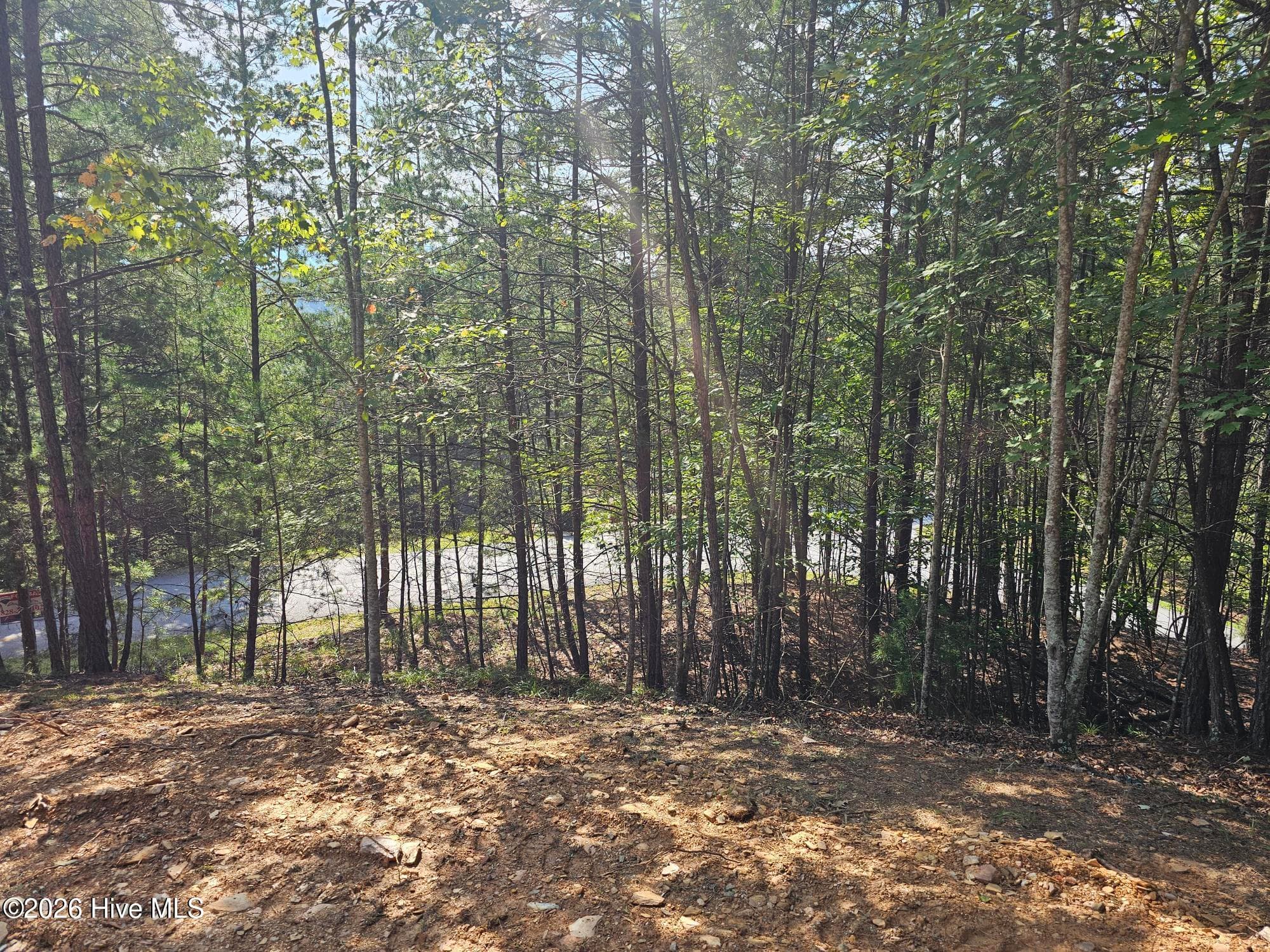 Residential Lot at Lot 76 Wildcat Drive, Murphy, NC 28906, photo 5 of 11