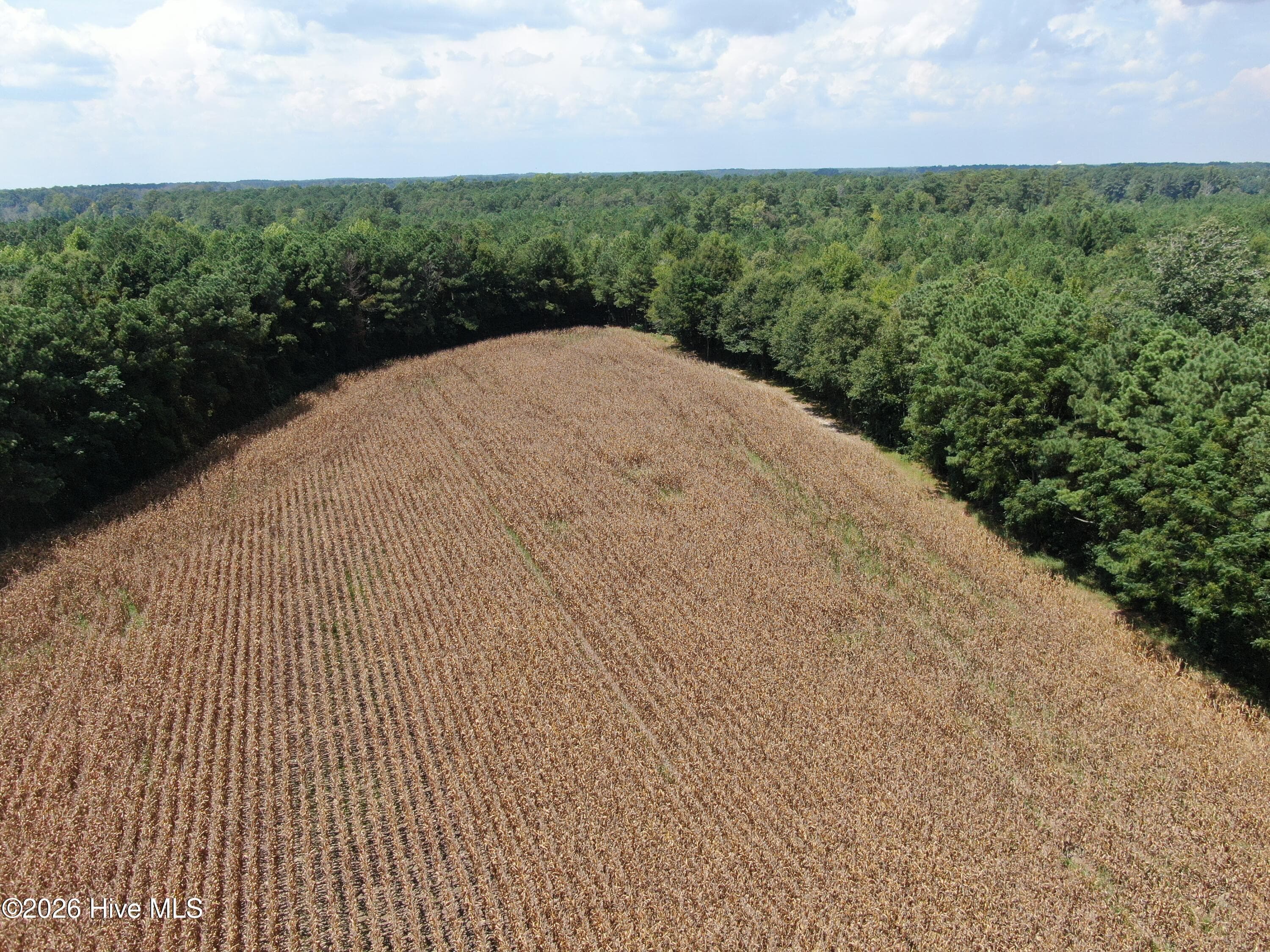 Agriculture at Tbd Pleasant Hope Road, Fairmont, NC 28340, photo 3 of 3