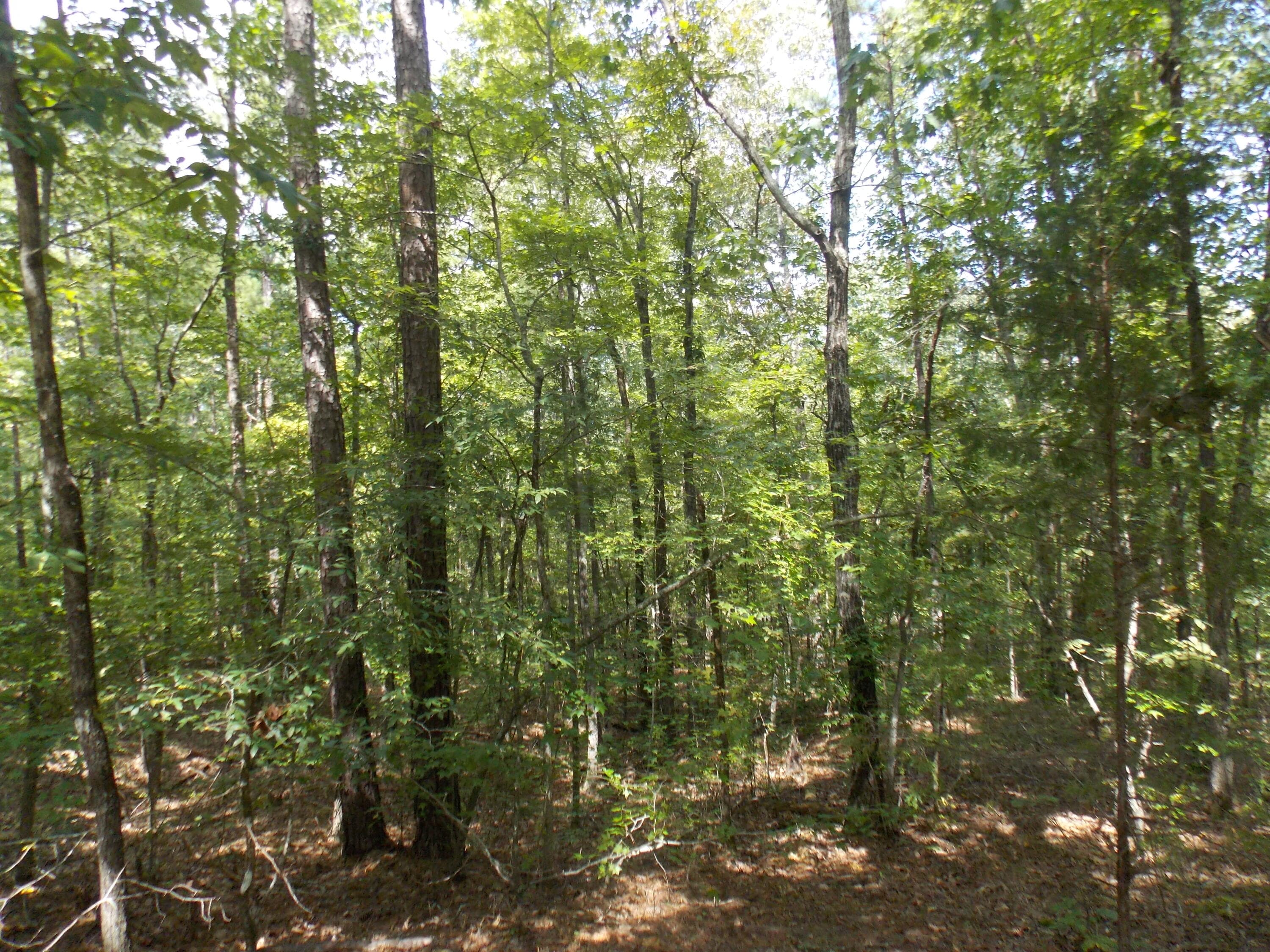 11 Doe Run, Lincolnton, GA 30817
