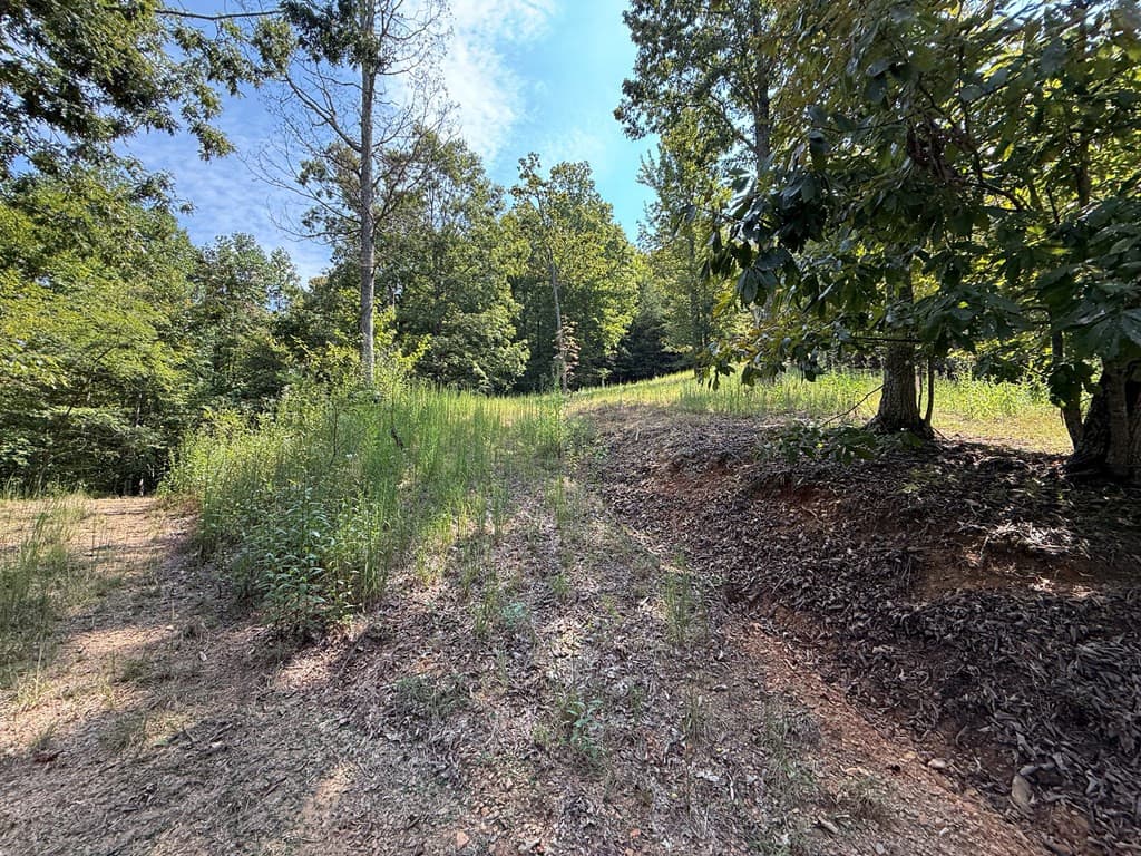 Residential Lot at 123 Madison Lane, Murphy, NC 28906, photo 10 of 10