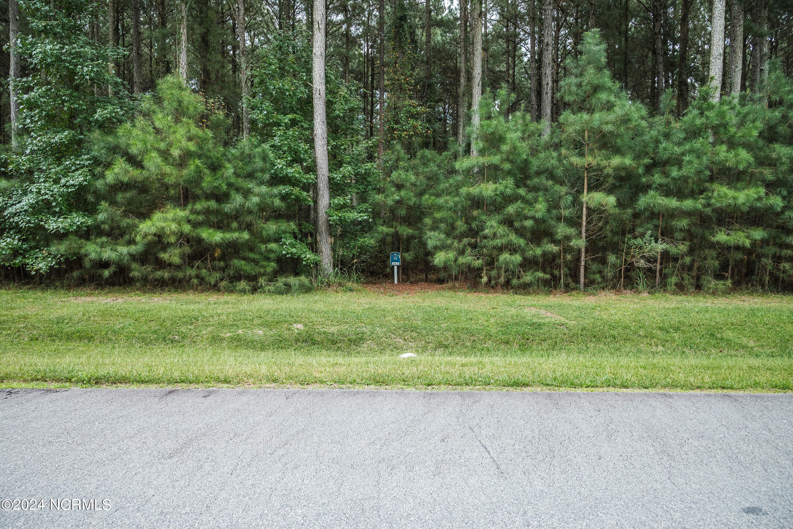 Residential Lot at 420 87 Riversound Drive, Edenton, NC 27932, photo 7 of 14