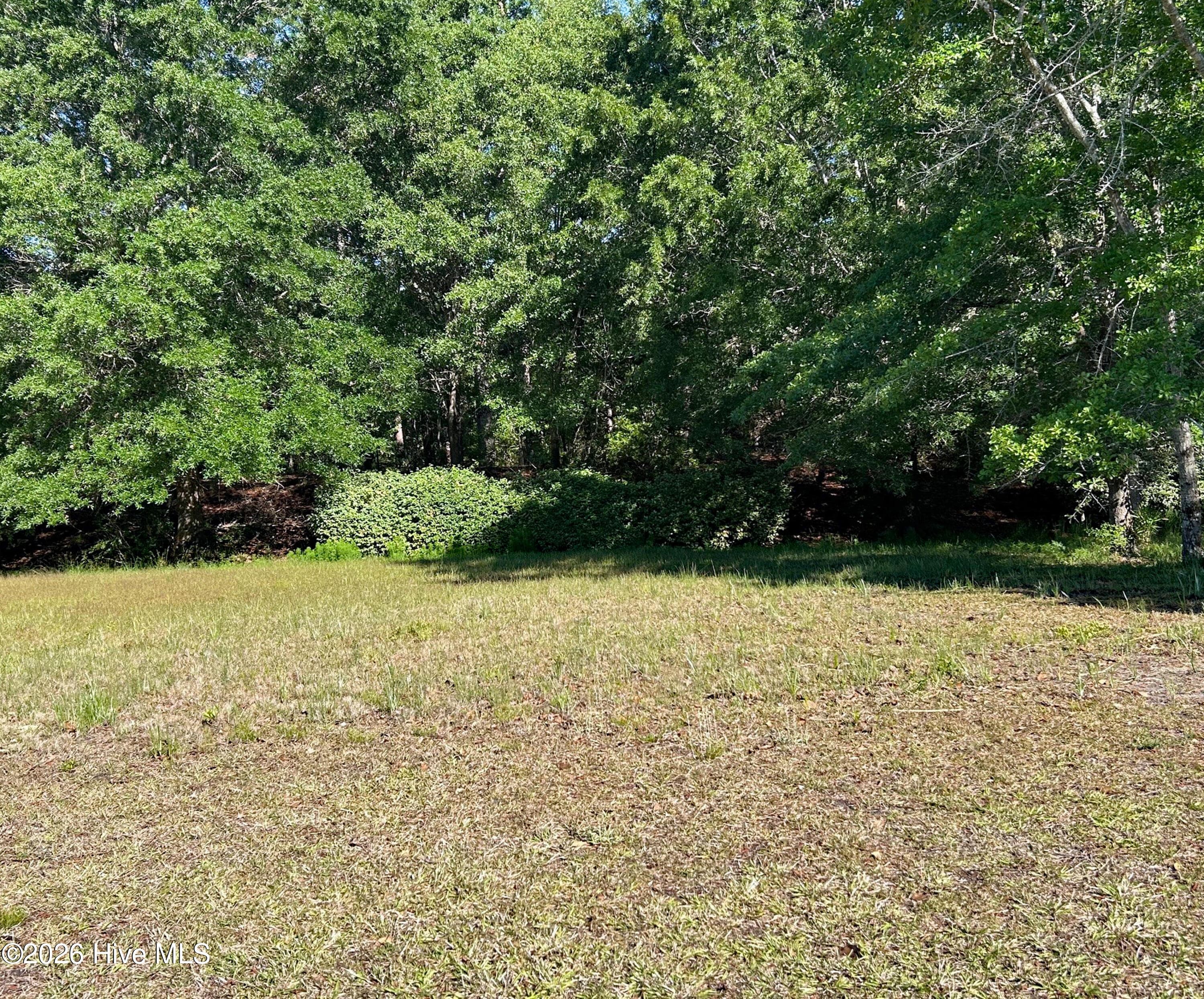Residential Lot at 337 12 River Village Square, Shallotte, NC 28470, Shallotte, photo 4 of 21