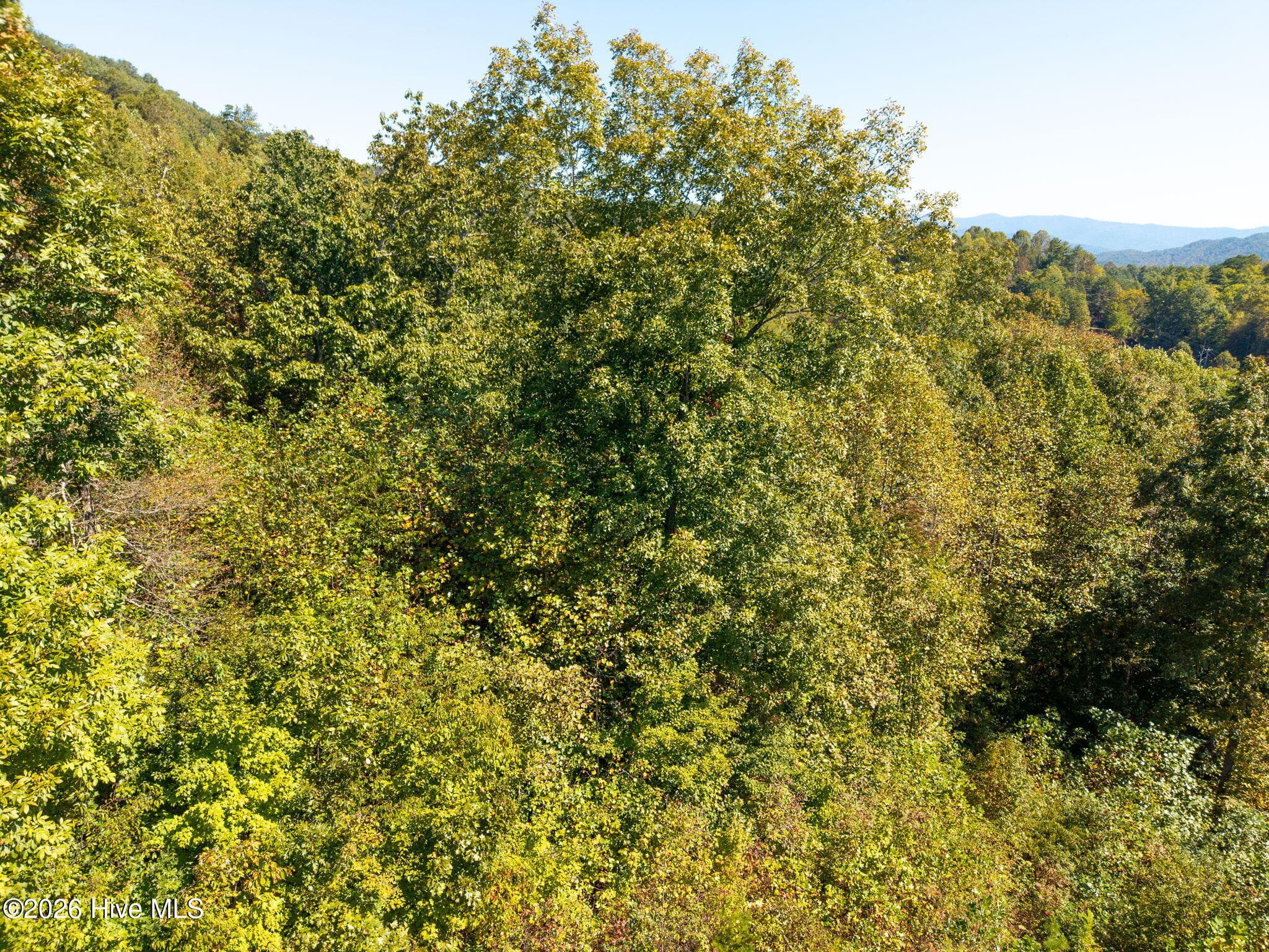 Residential Lot at 164 Big Sky Drive, Murphy, NC 28906, photo 3 of 16