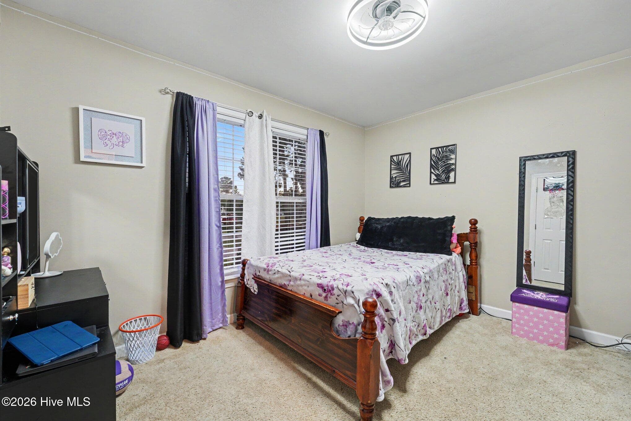 Single Family Residence at 217 Laurel Spring Drive, Nashville, NC 27856, photo 18 of 27