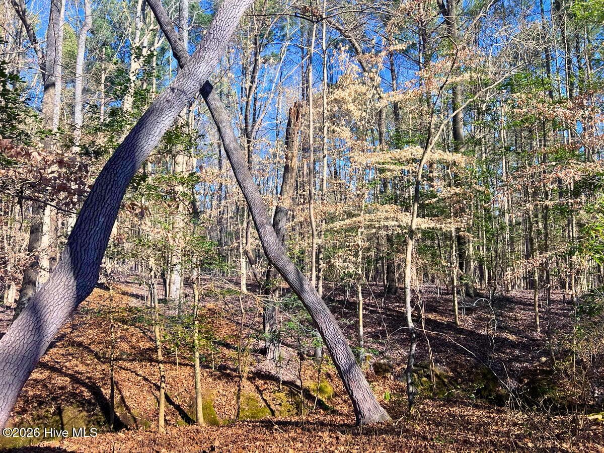 Residential Land at 0 Nc 98 Highway, Spring Hope, NC 27882, photo 25 of 39