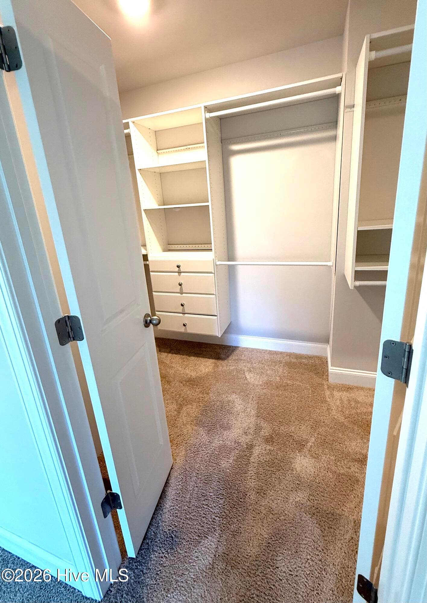 expansive walk-in closet in owner's bedroom. Move-in-ready - 5010 Spring Green Pass, New Bern, NC 28562