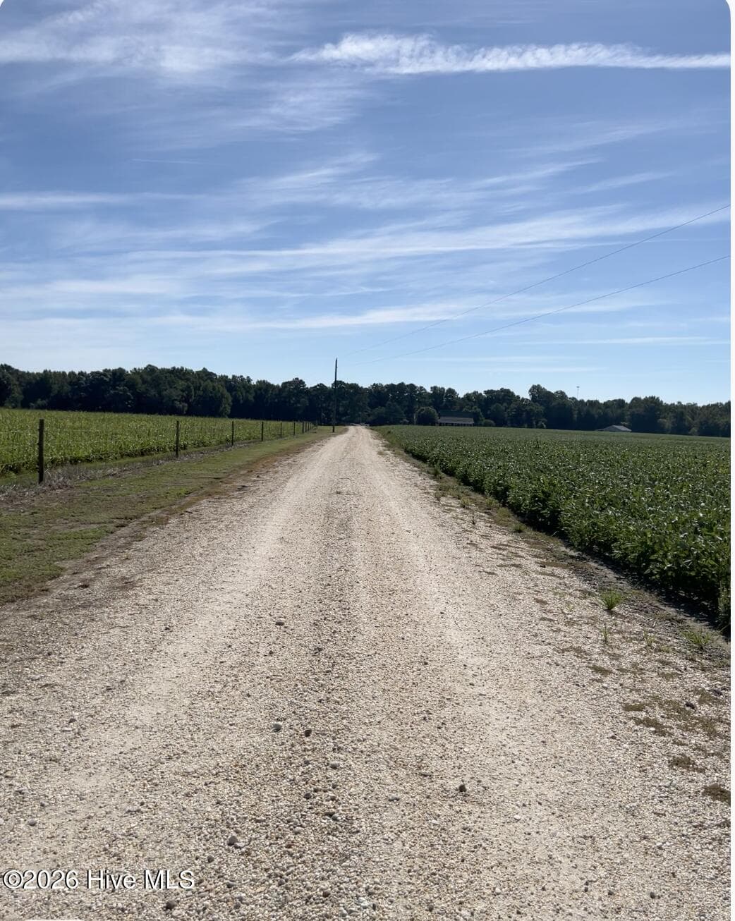 Driveway. - 642 Enoch Road, Clinton, NC 28328