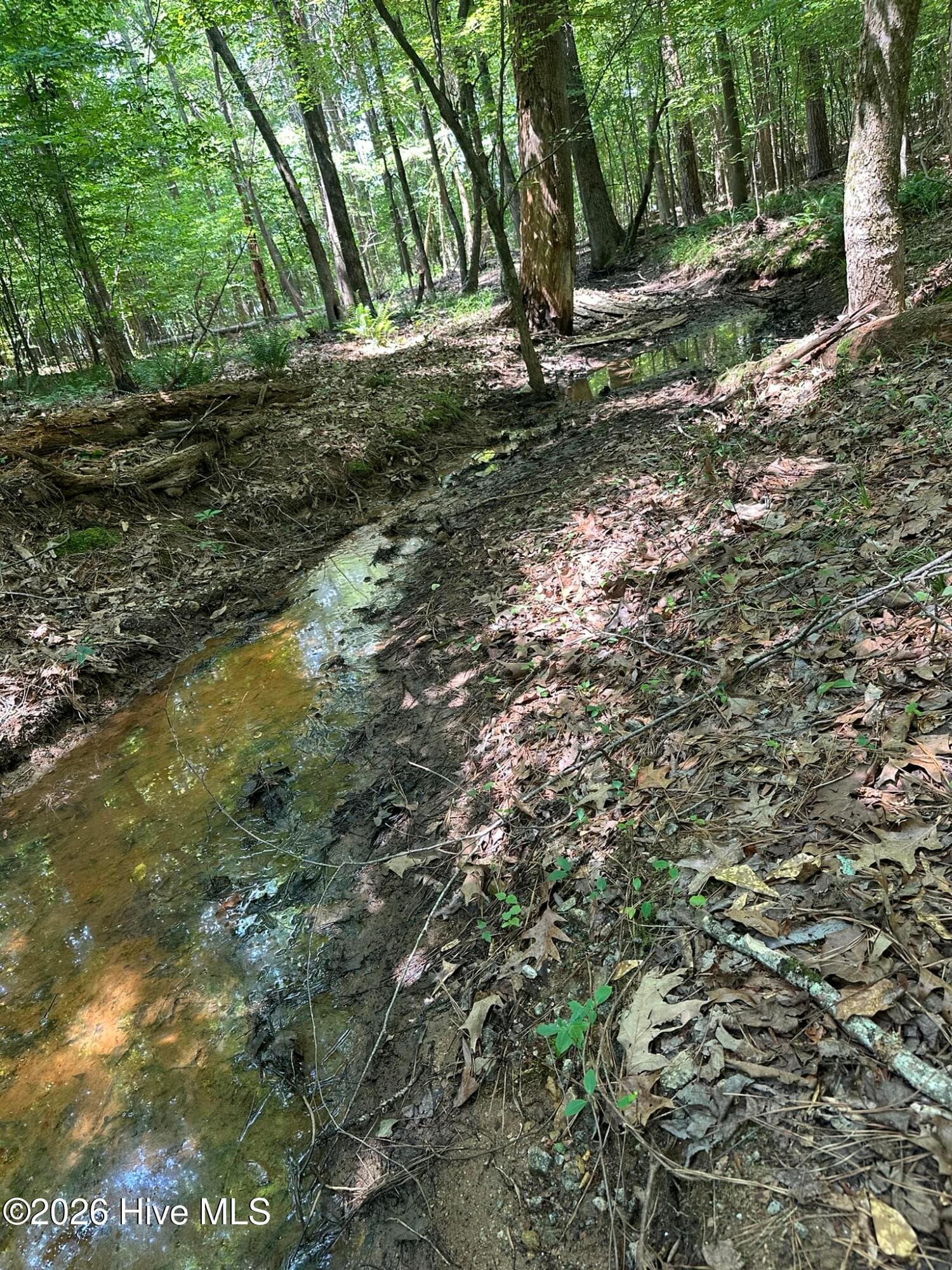 Residential Lot at Lot 17 Lakeshore Estates Drive, Lincolnton, GA 30817, photo 12 of 22