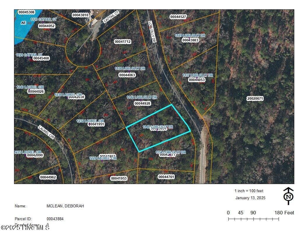 Residential Lot at 1148 Loblolly Drive, Vass, NC 28394, photo 3 of 3