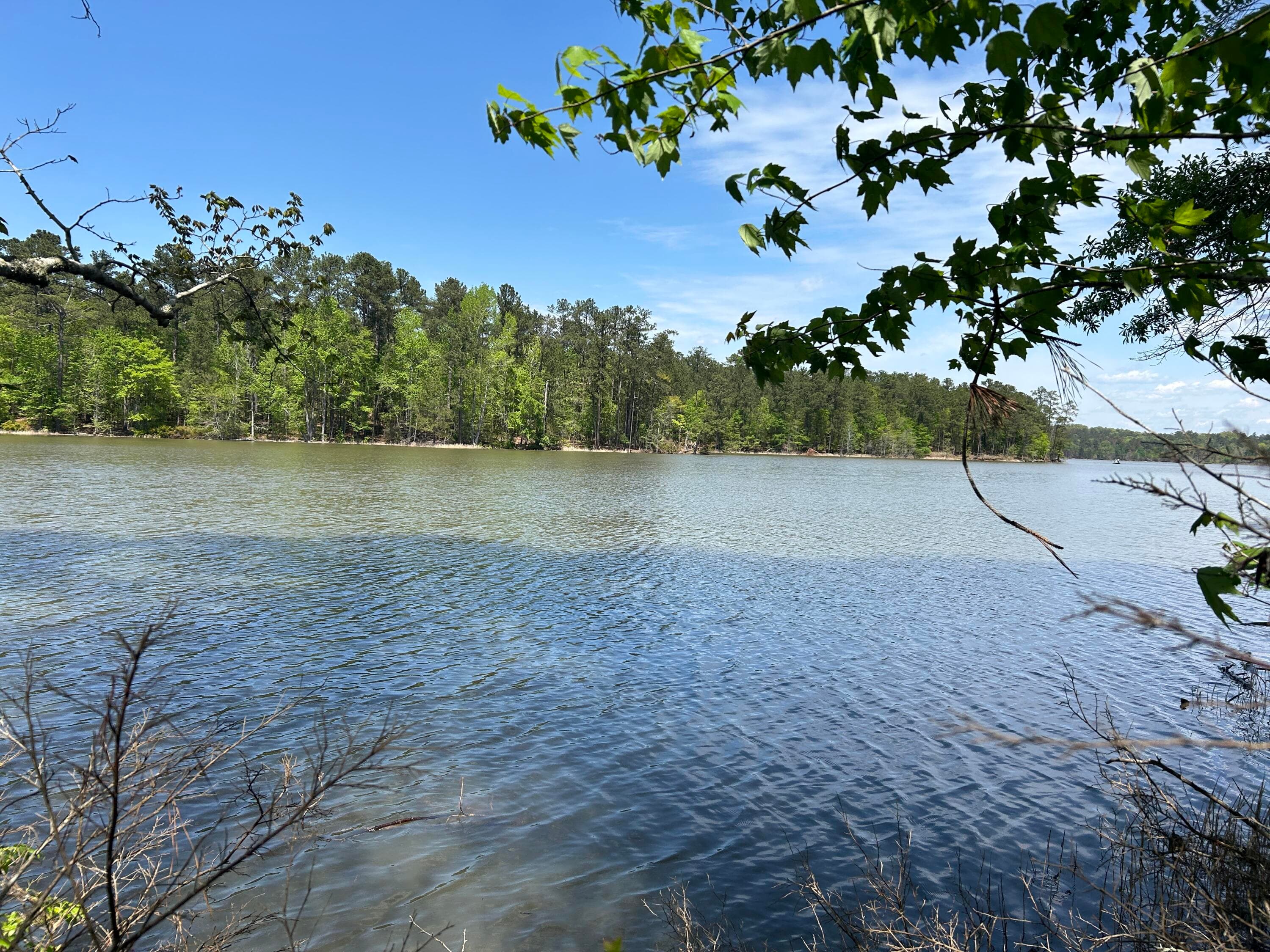 1147 &1153 130 Watersedge Cove, Tignall, GA 30668