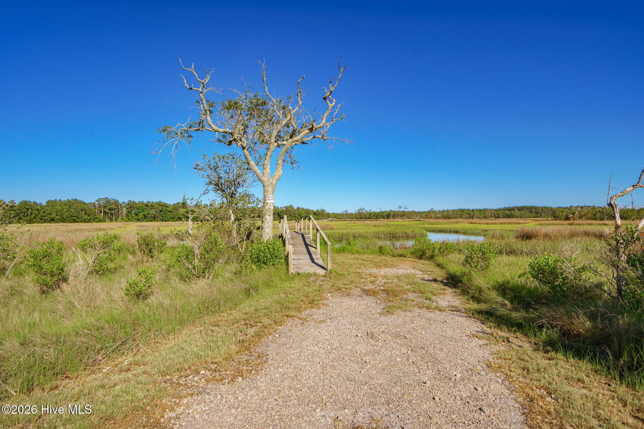 Residential Lot at 303 Orchard Circle, Newport, NC 28570, photo 31 of 33