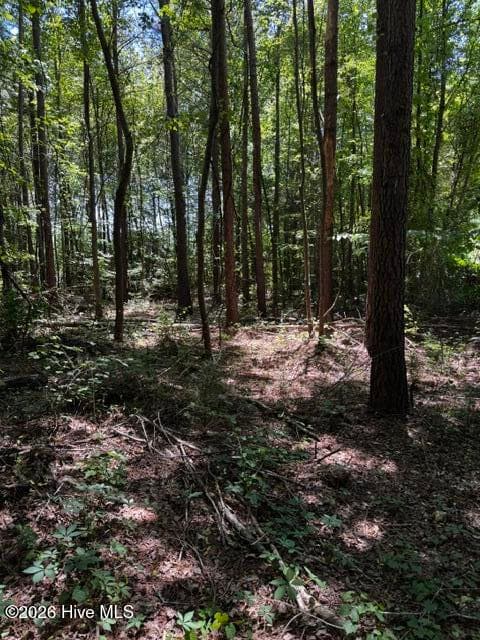 Undeveloped at Lot 1 Dan Road, Robbins, NC 27325, photo 9 of 22