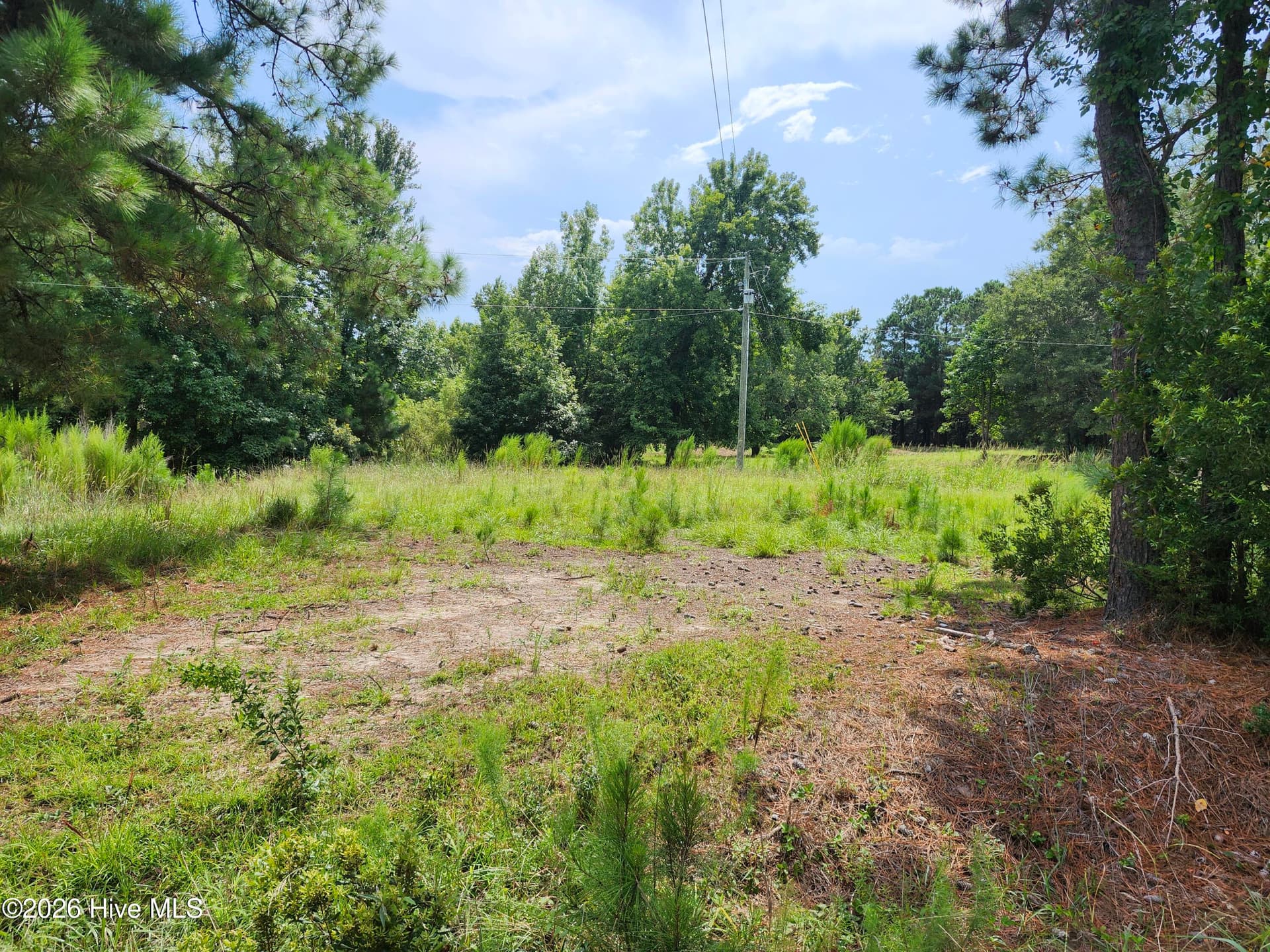 Wooded at 306 16 Revised Howards Landing Road, Hampstead, NC 28443, photo 3 of 17