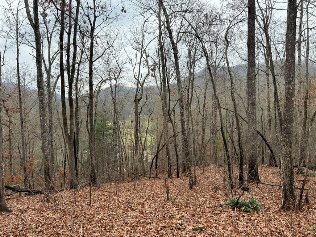 Land at 0 Flaming Ridge, Hayesville, NC 28904, Hayesville, photo 2 of 7