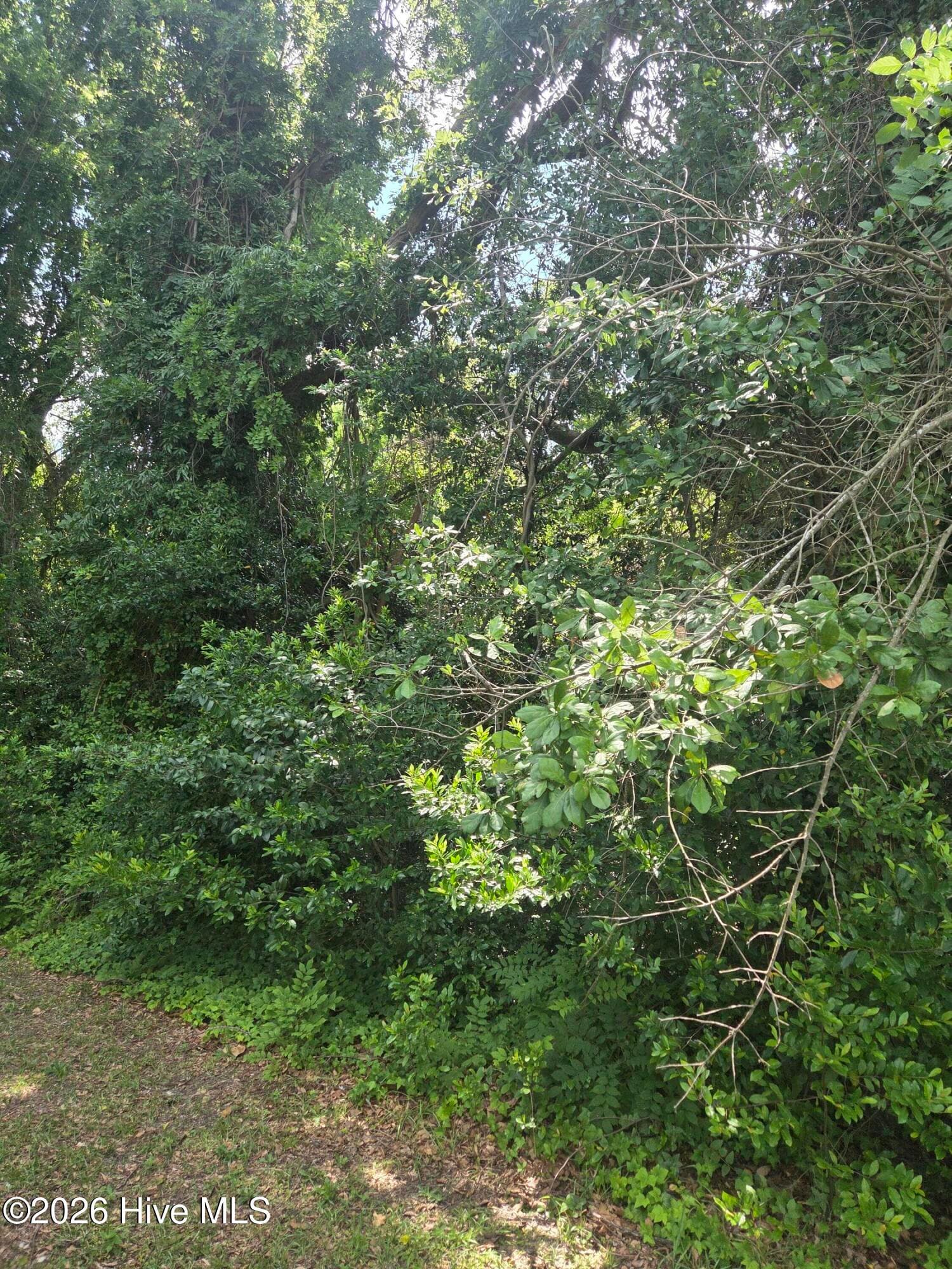 Residential Lot at Tbd N Skipper Street N, Rockingham, NC 28379, photo 8 of 8