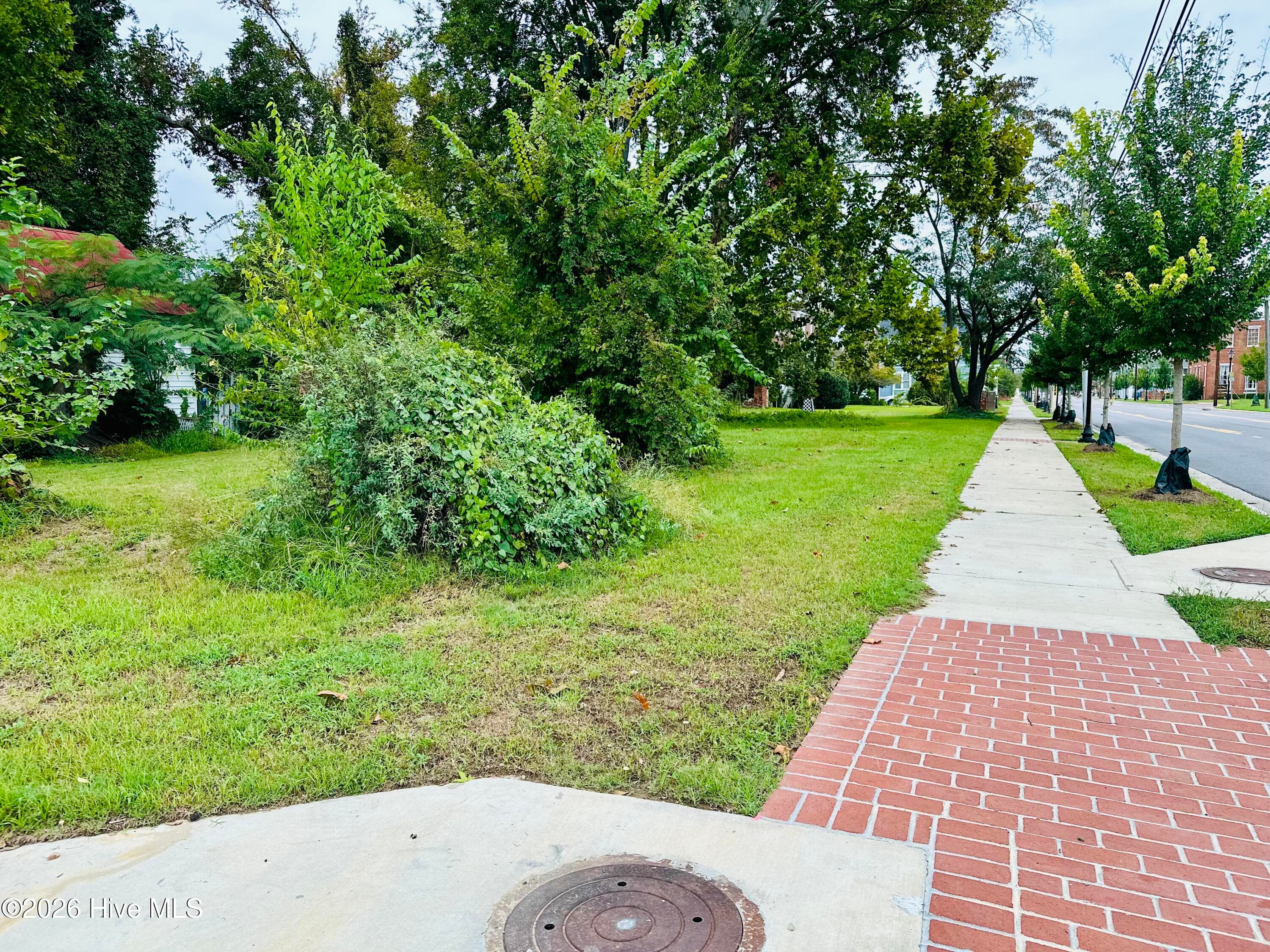 Residential Lot at 503 Watkins Street, Augusta, GA 30901, photo 4 of 4