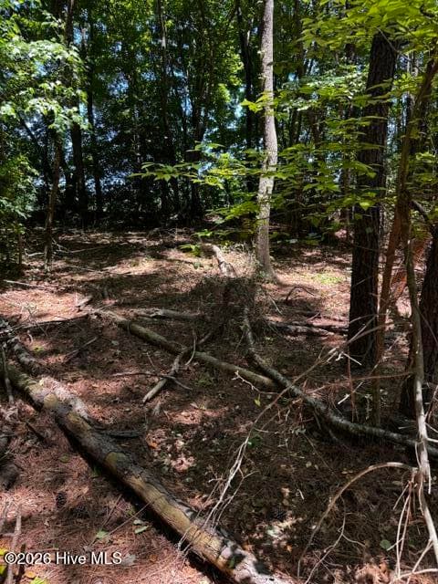 Undeveloped at Lot 1 Dan Road, Robbins, NC 27325, photo 16 of 22