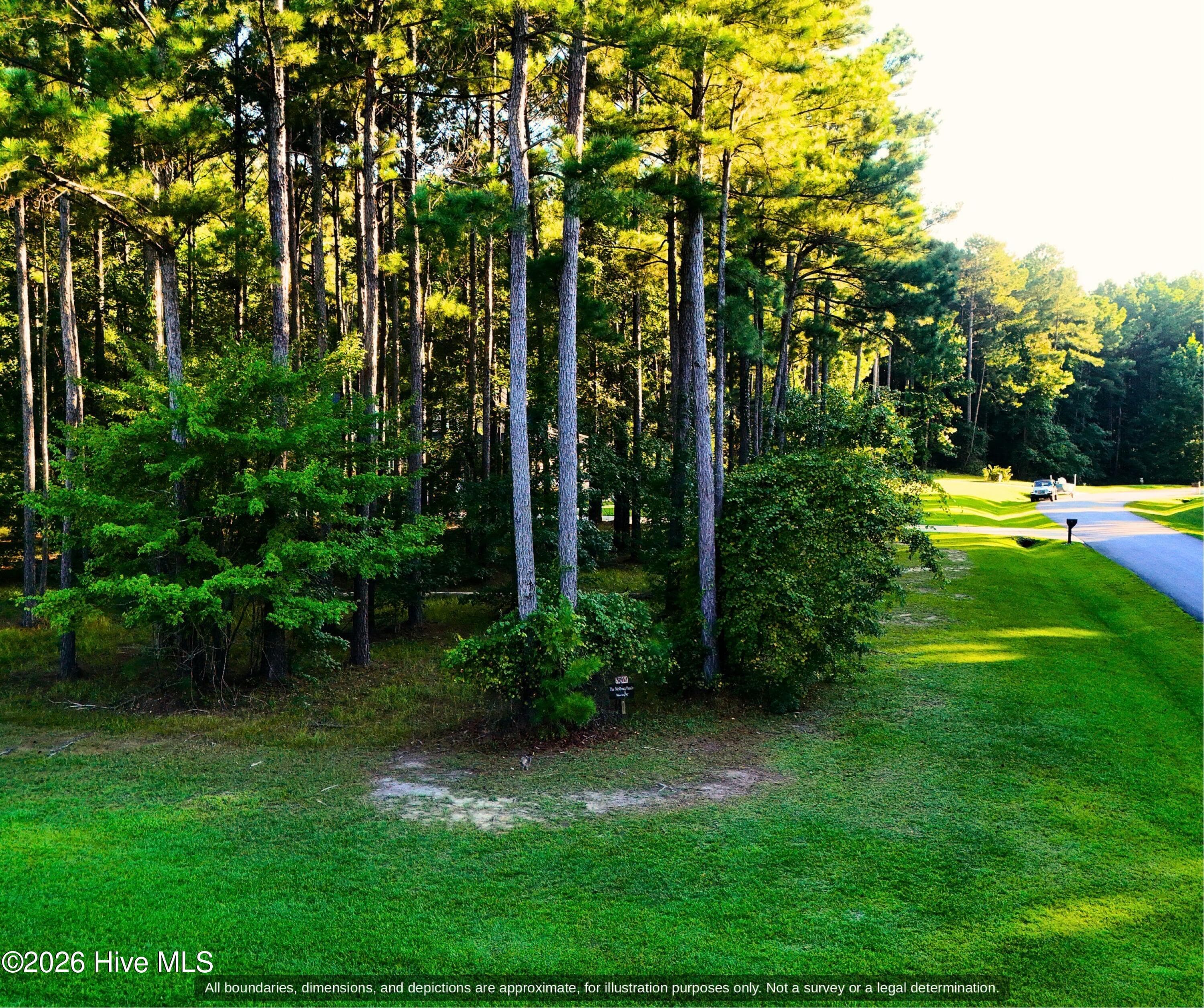 Mature pines and open grass on a wooded lot in Minnesott Beach, Pamlico County NC - 0000-0000 LOT 83 Mill Creek Drive, Minnesott Beach, NC 28510
