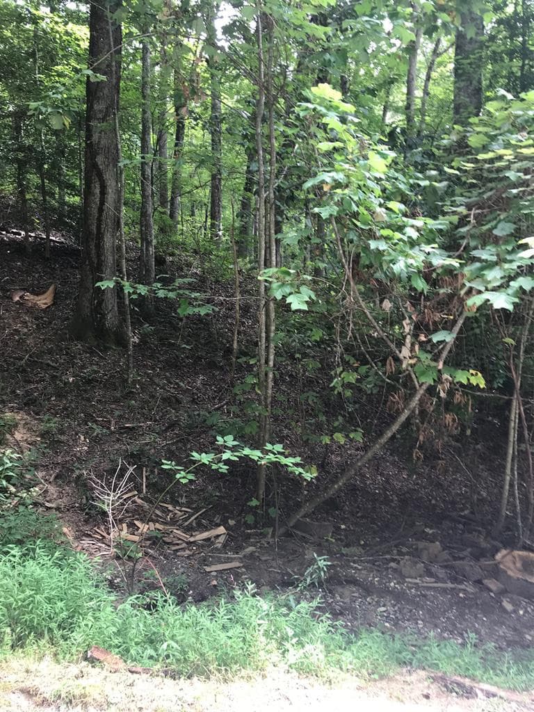 Lot 8 Lot 8 Vista Loop Road Road, Topton, NC 28781