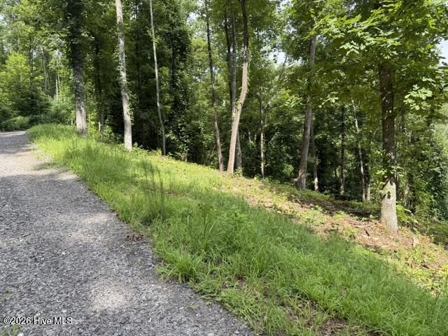 Residential Lot at Lot 25 25 Bryson Creek Drive, Murphy, NC 28906, photo 7 of 7