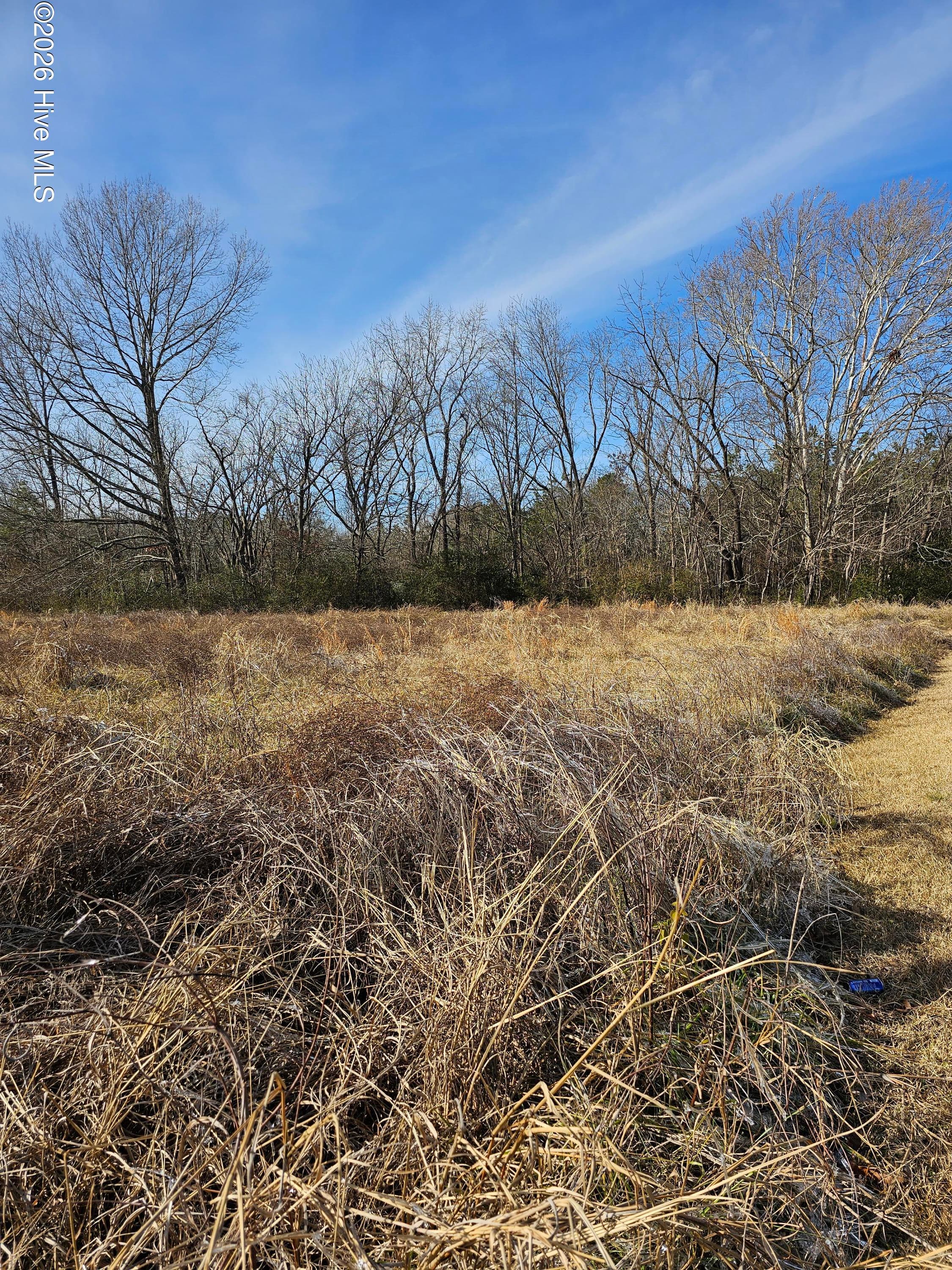 Tbd E Main Street, Woodland, NC 27897