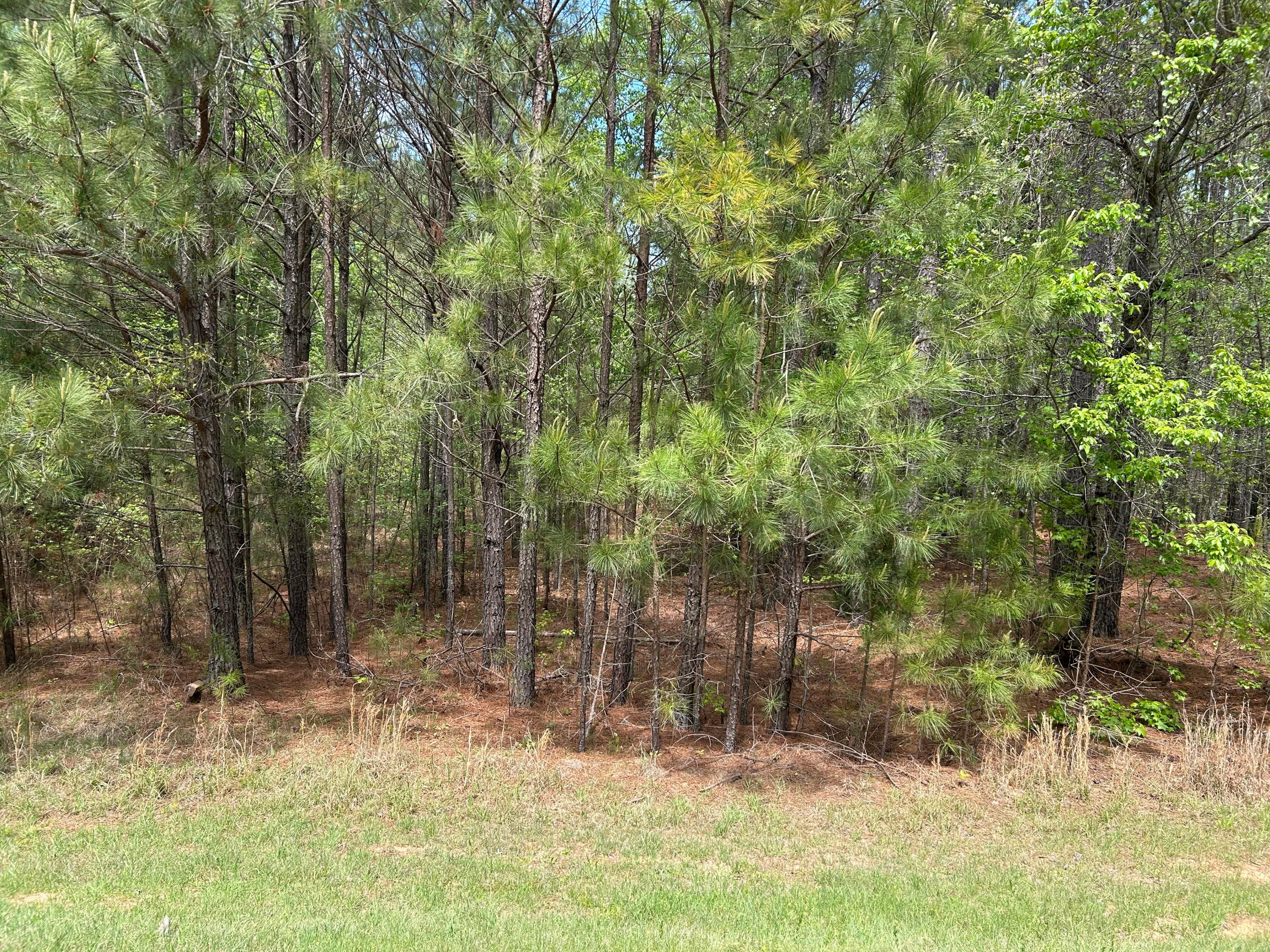 Residential Lot at 1147 &1153 130 Watersedge Cove, Tignall, GA 30668, photo 2 of 3
