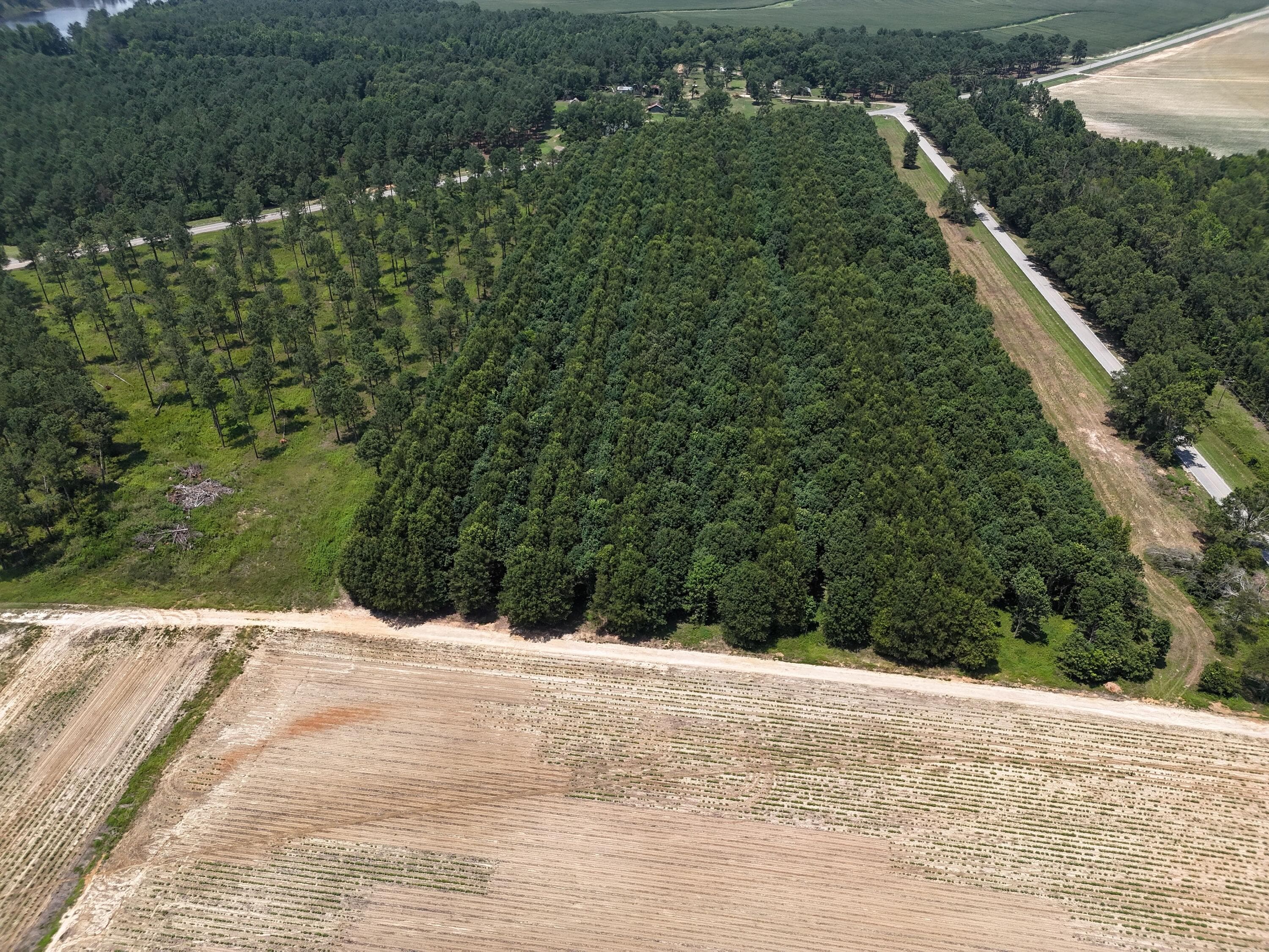 Residential Lot at 0 Chappel Road, Waynesboro, GA 30830, photo 12 of 15