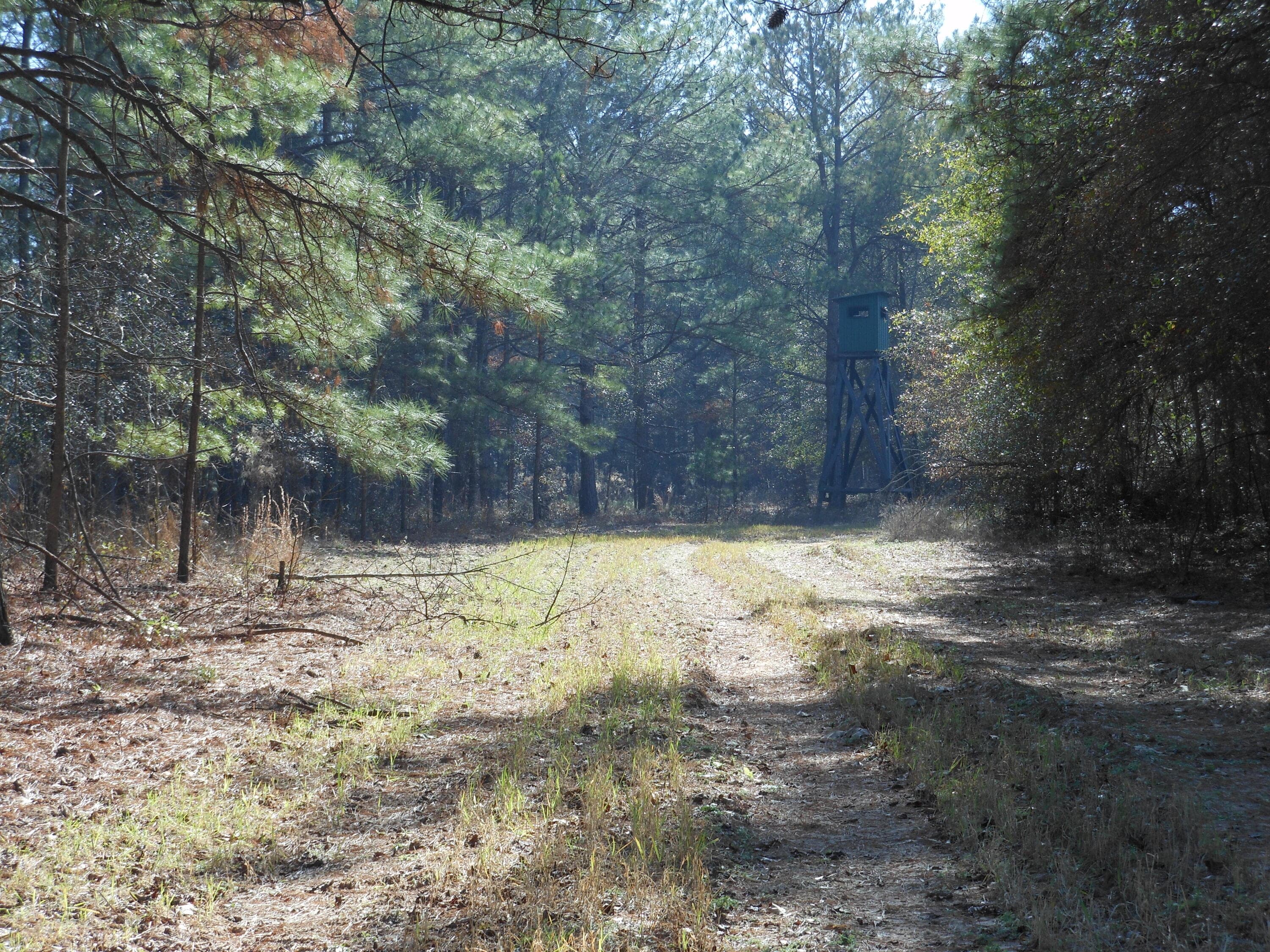 Undeveloped at 0 Ponderosa Road, Waynesboro, GA 30830, photo 45 of 45