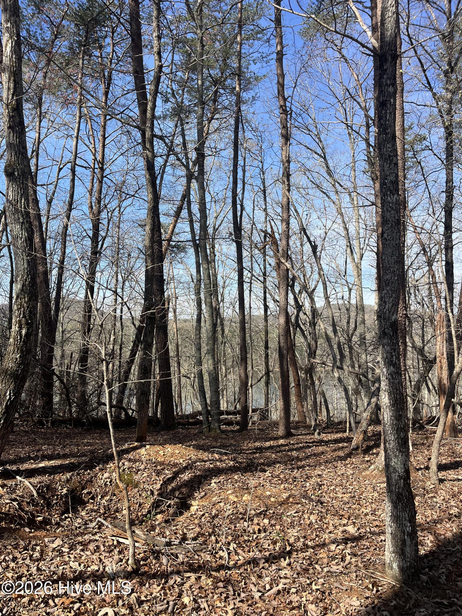 Undeveloped at Tbd Haltiwanger Retreat Road, Troy, NC 27371, photo 16 of 21