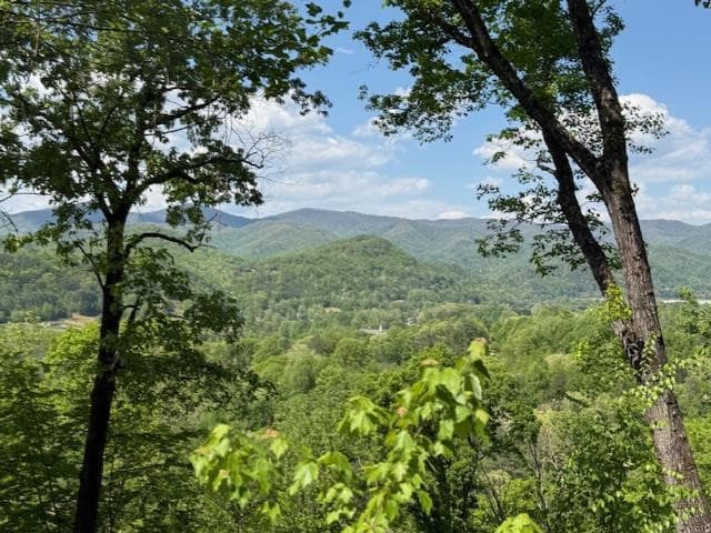 Residential Lot at Lot 43 43 Silo View, Marble, NC 28905, photo 3 of 11