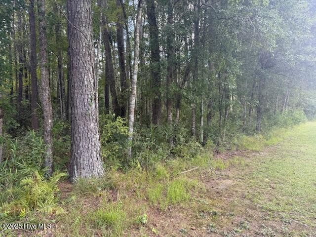Residential Lot at 2539 Chauncey Town Road, Lake Waccamaw, NC 28450, photo 5 of 8