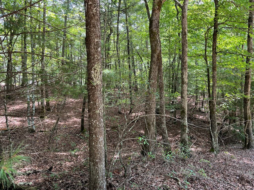 Wooded at 0 Sheep Knob, Murphy, NC 28906, photo 2 of 2